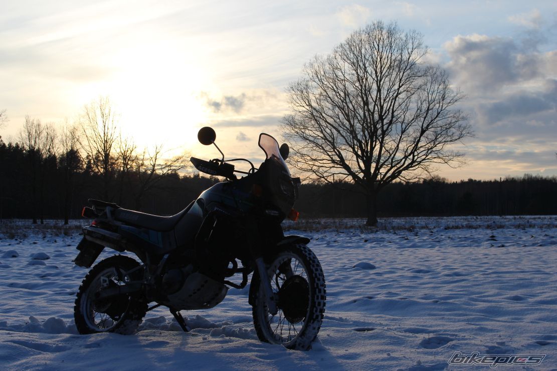 Photo 2721121
