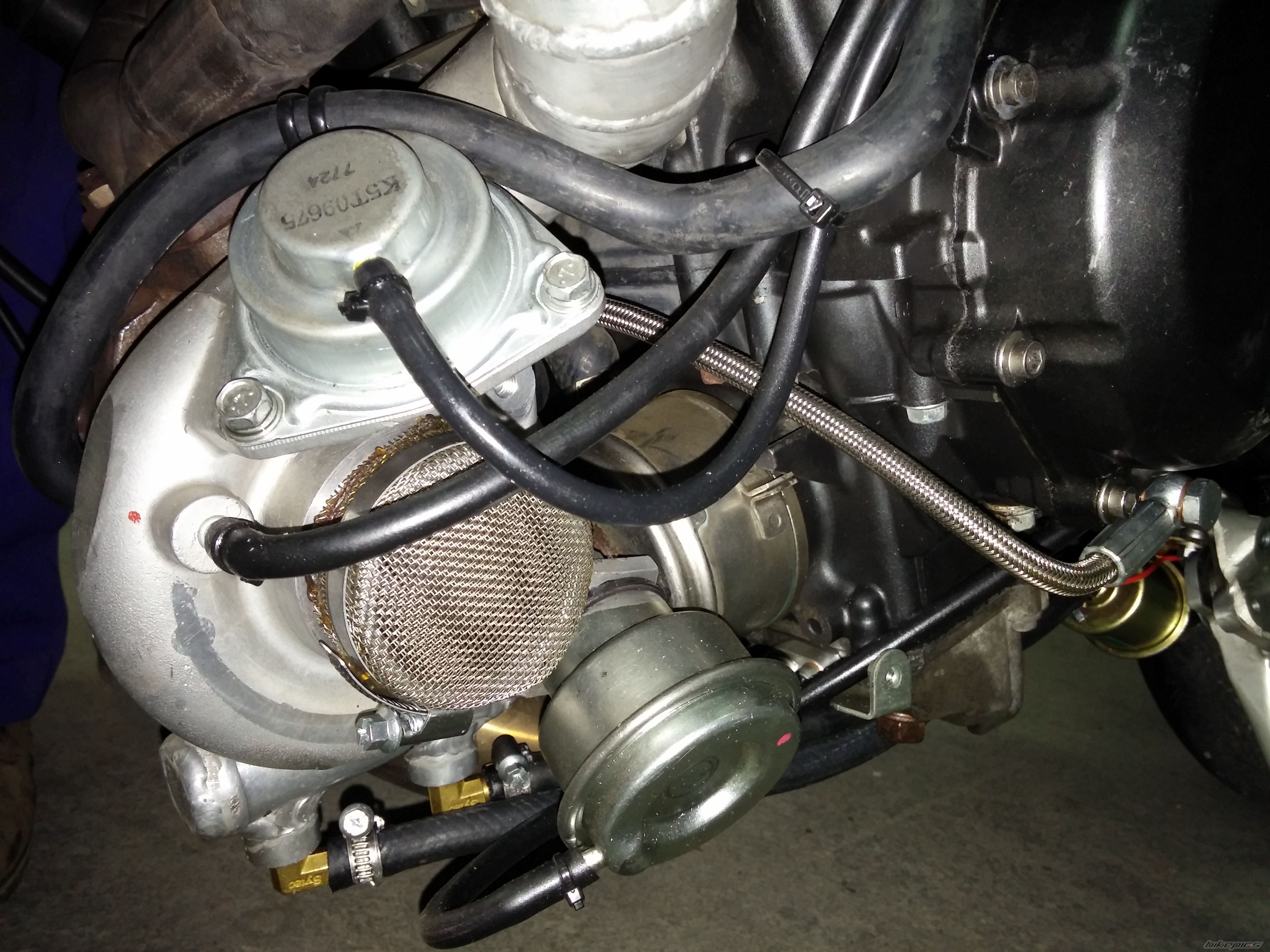Photo 2721385
