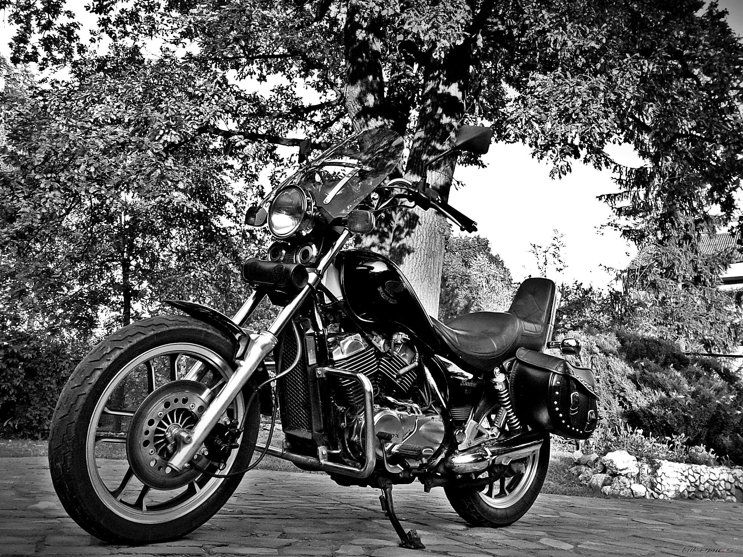 Photo 2721393