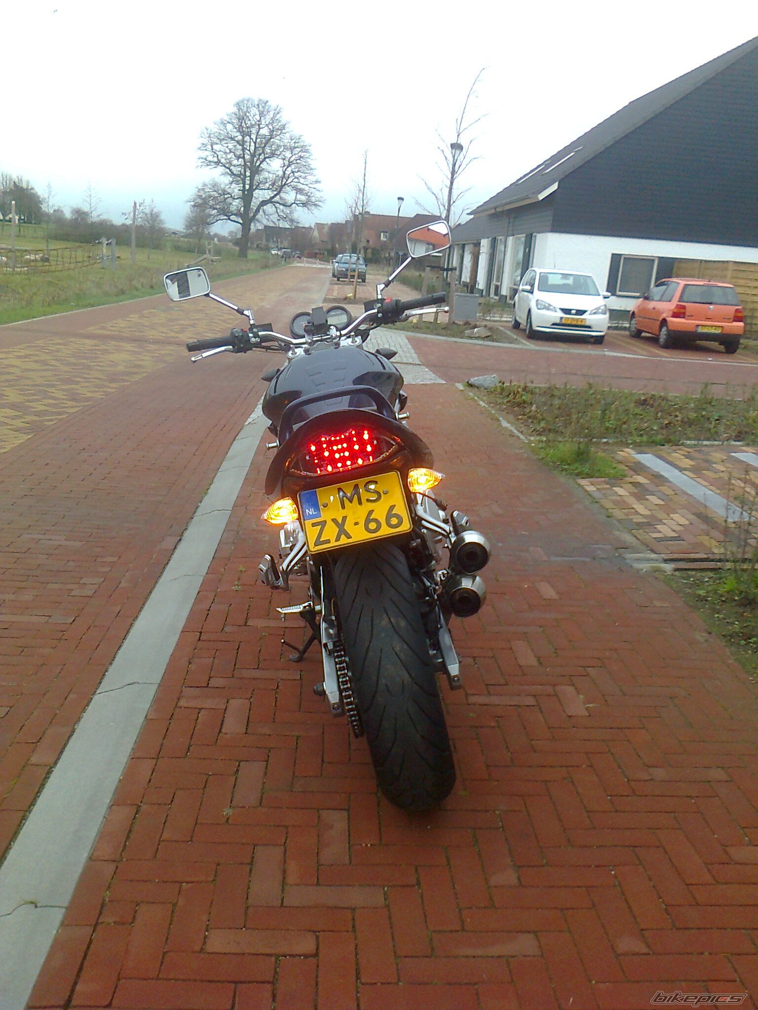 Photo 2721455