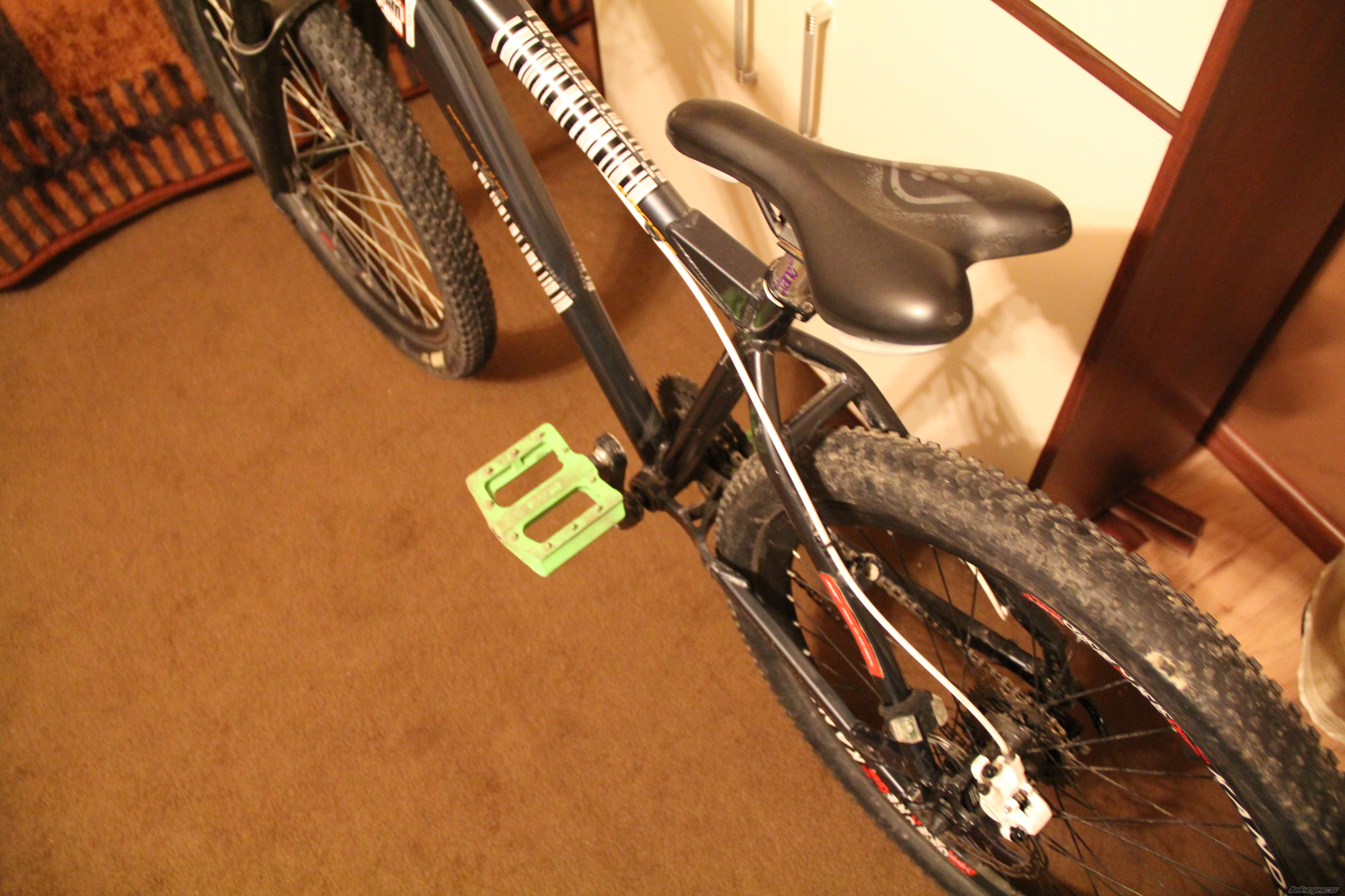 Photo 2721510