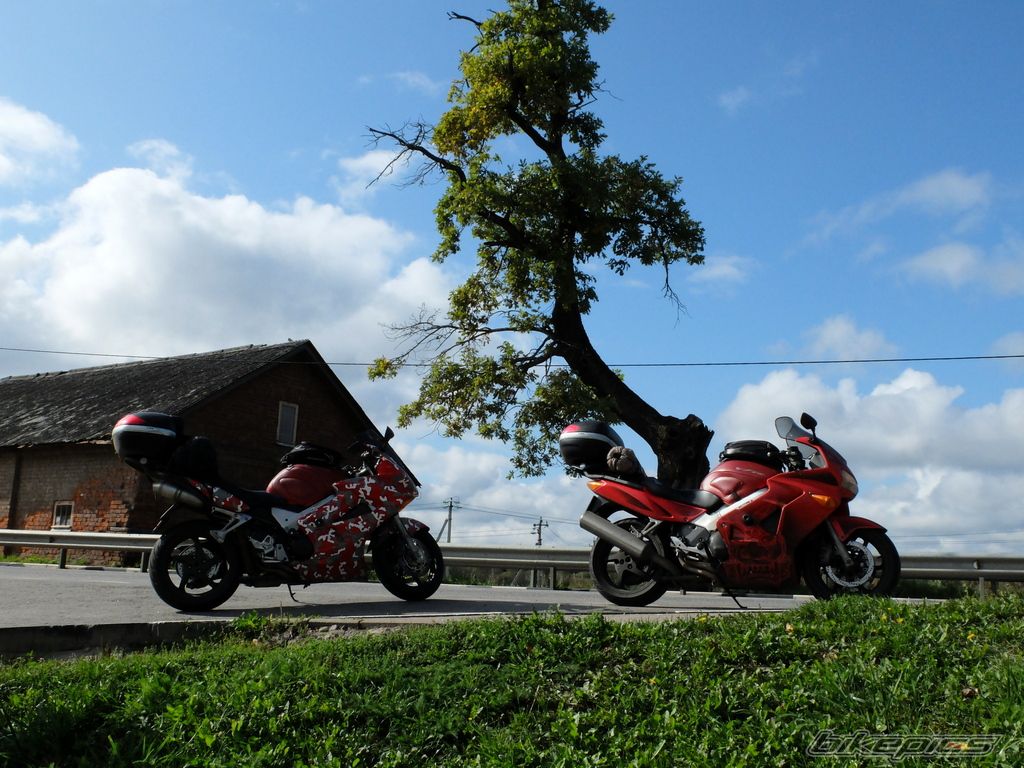 Photo 2721514