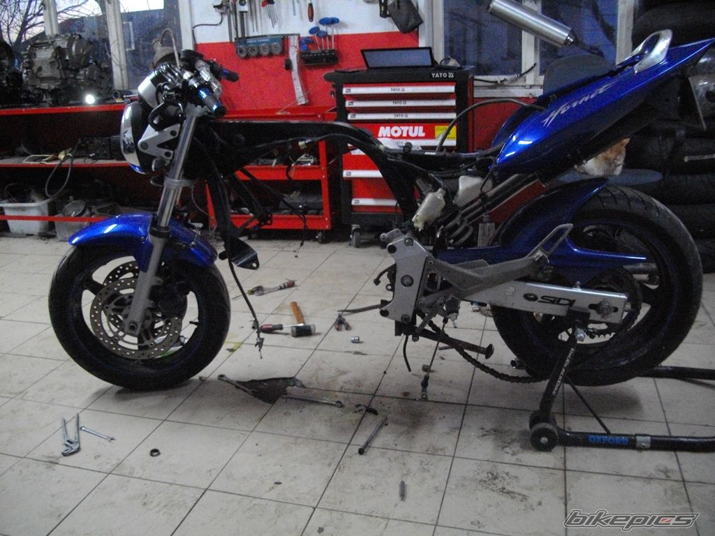 Photo 2721584