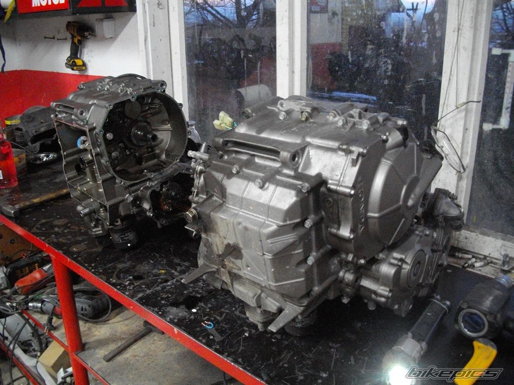 Photo 2721585