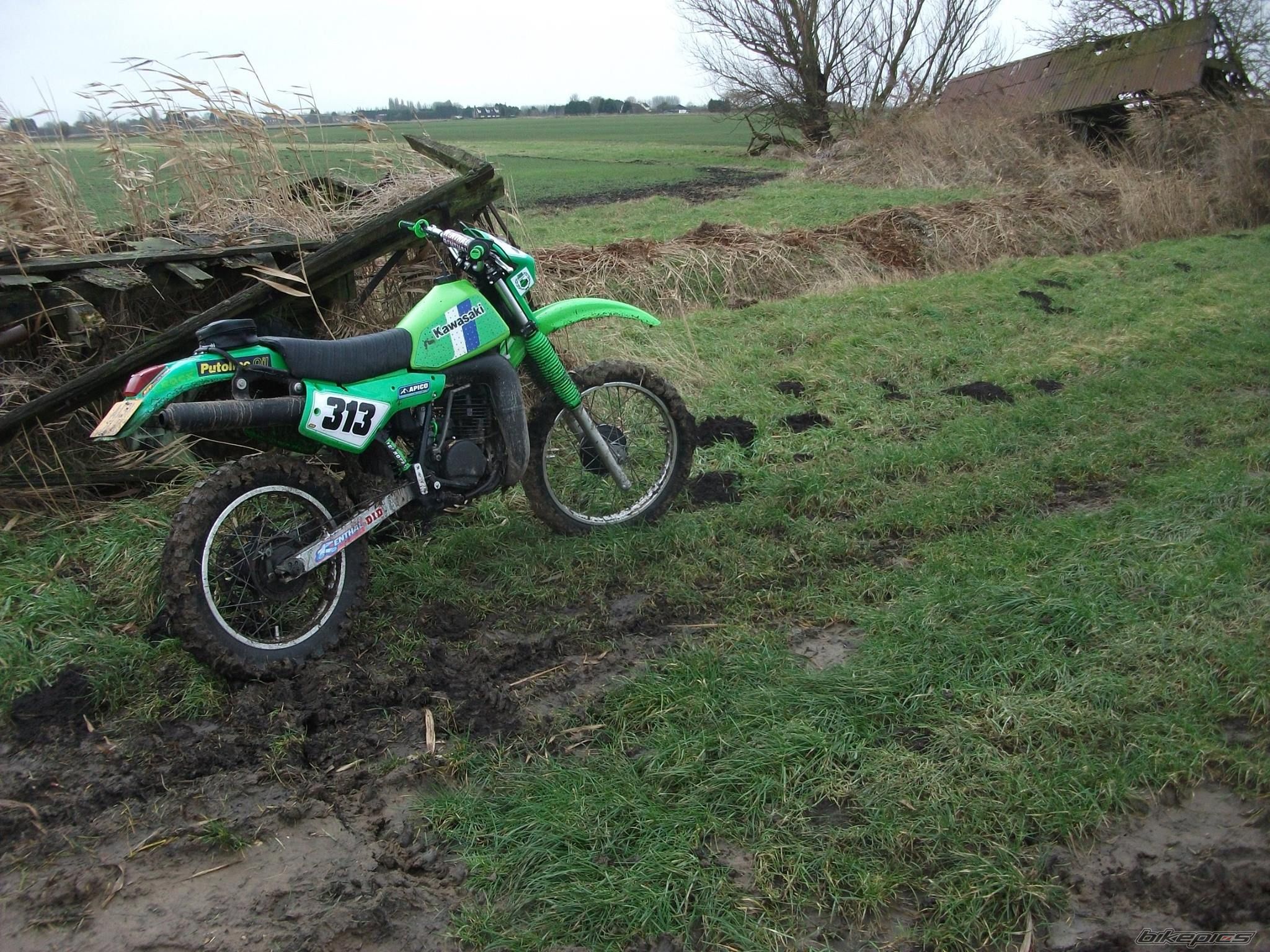 Photo 2721789