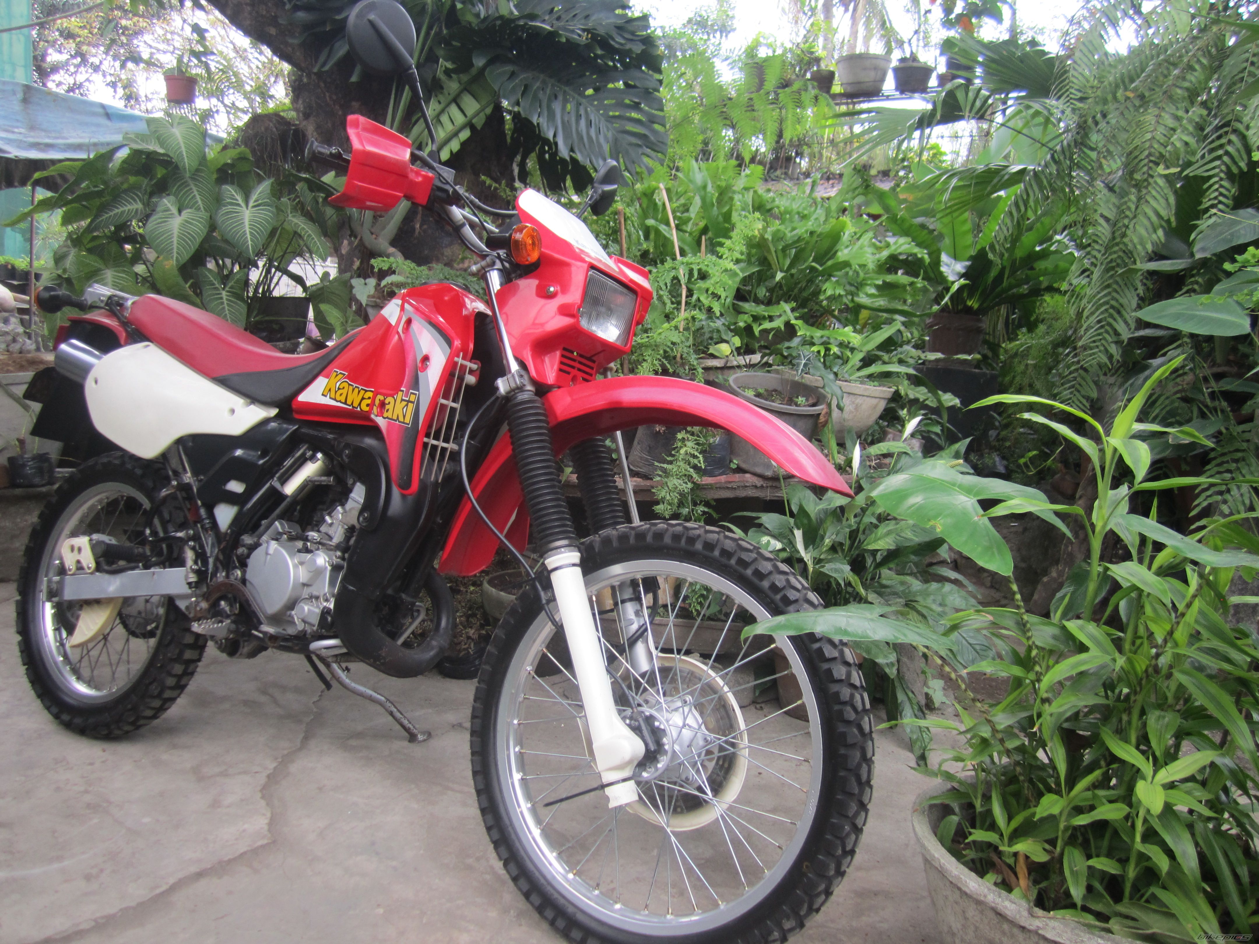 Photo 2721821