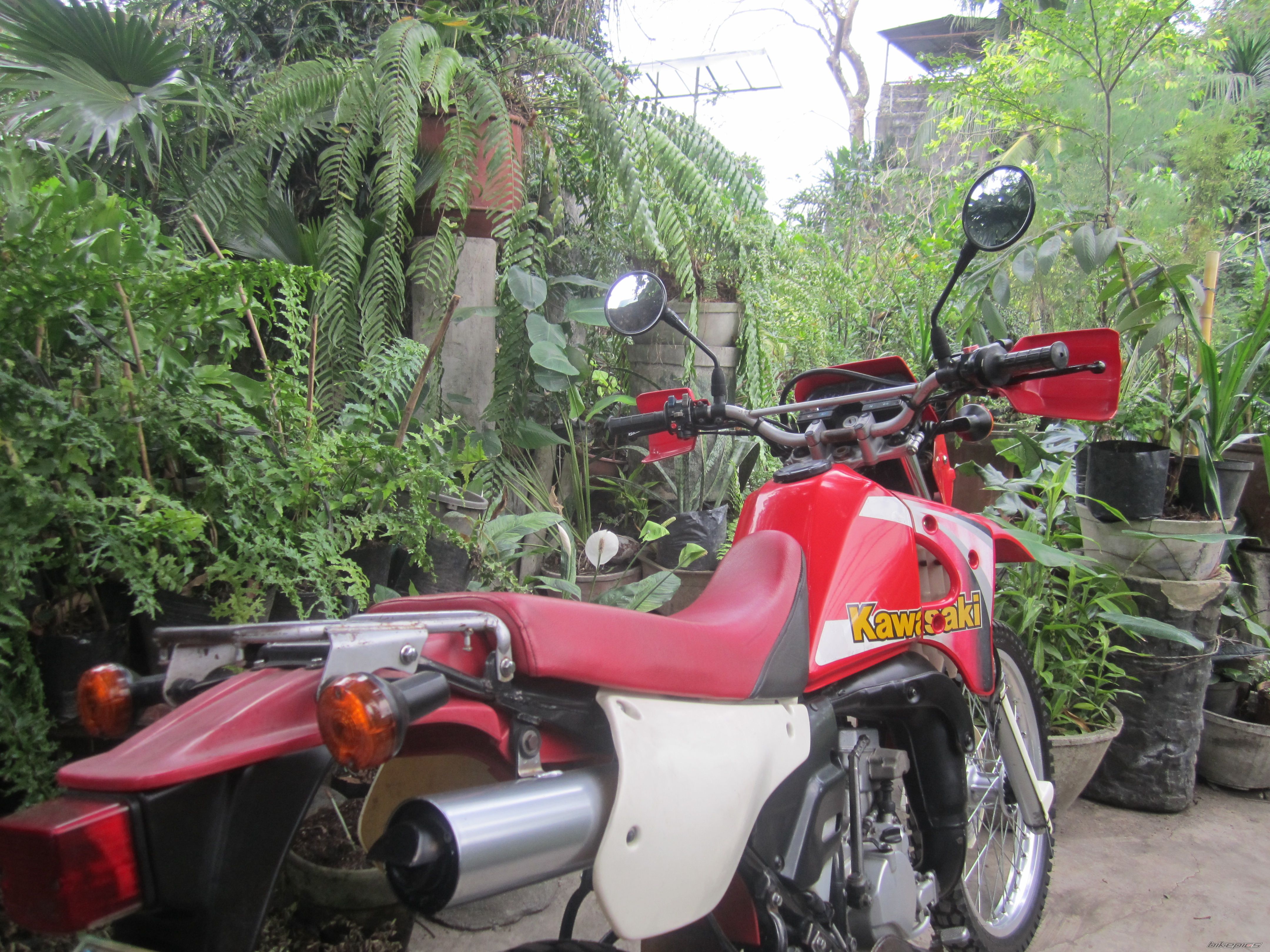 Photo 2721822