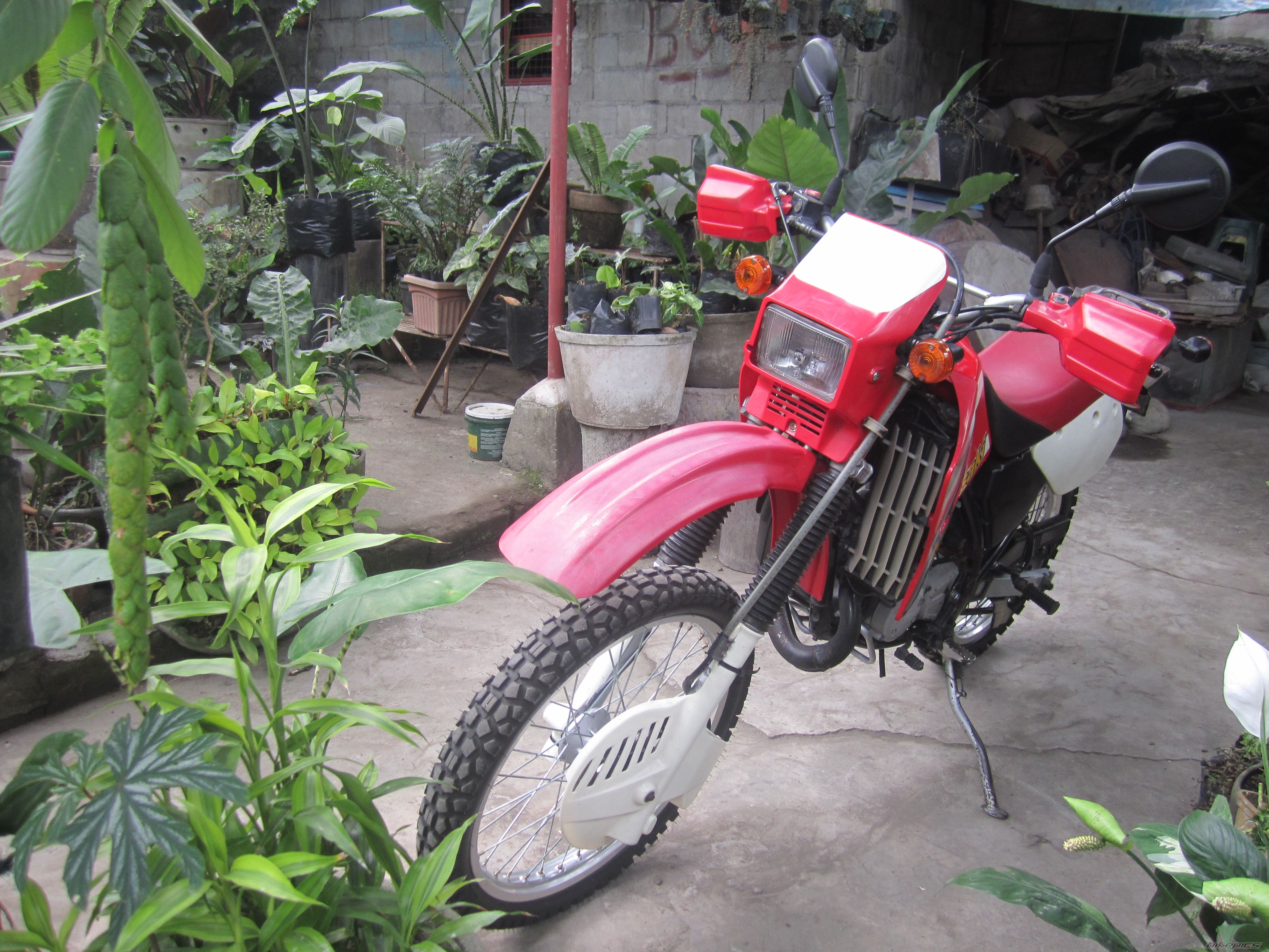Photo 2721825