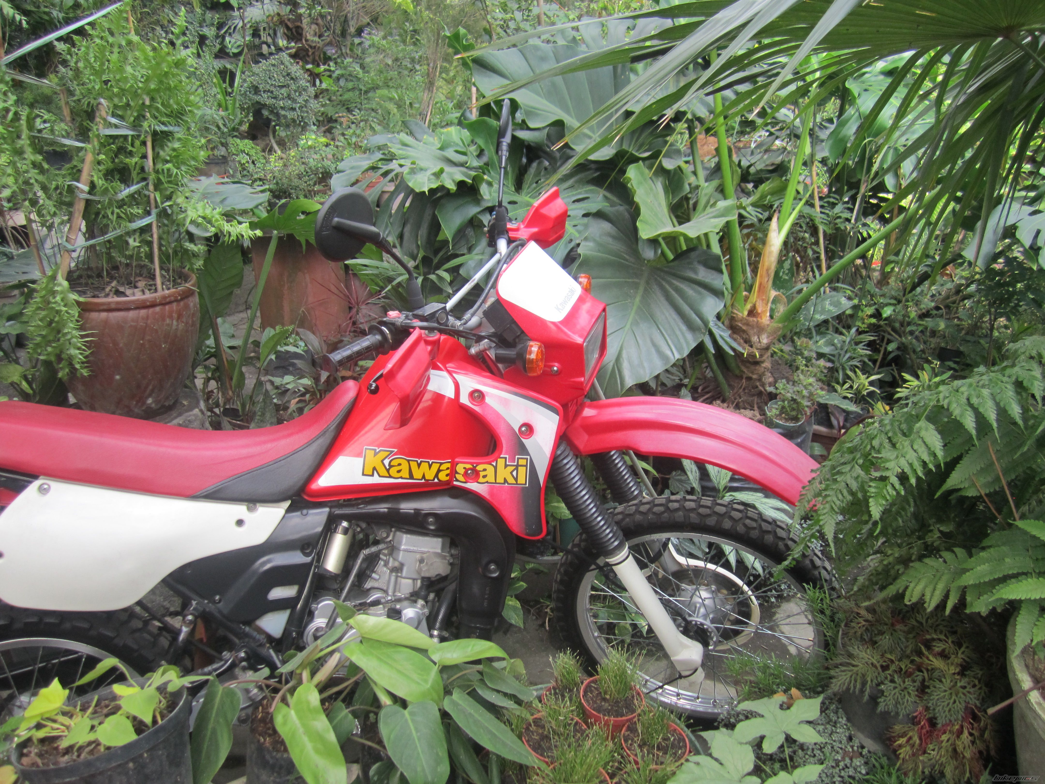 Photo 2721826