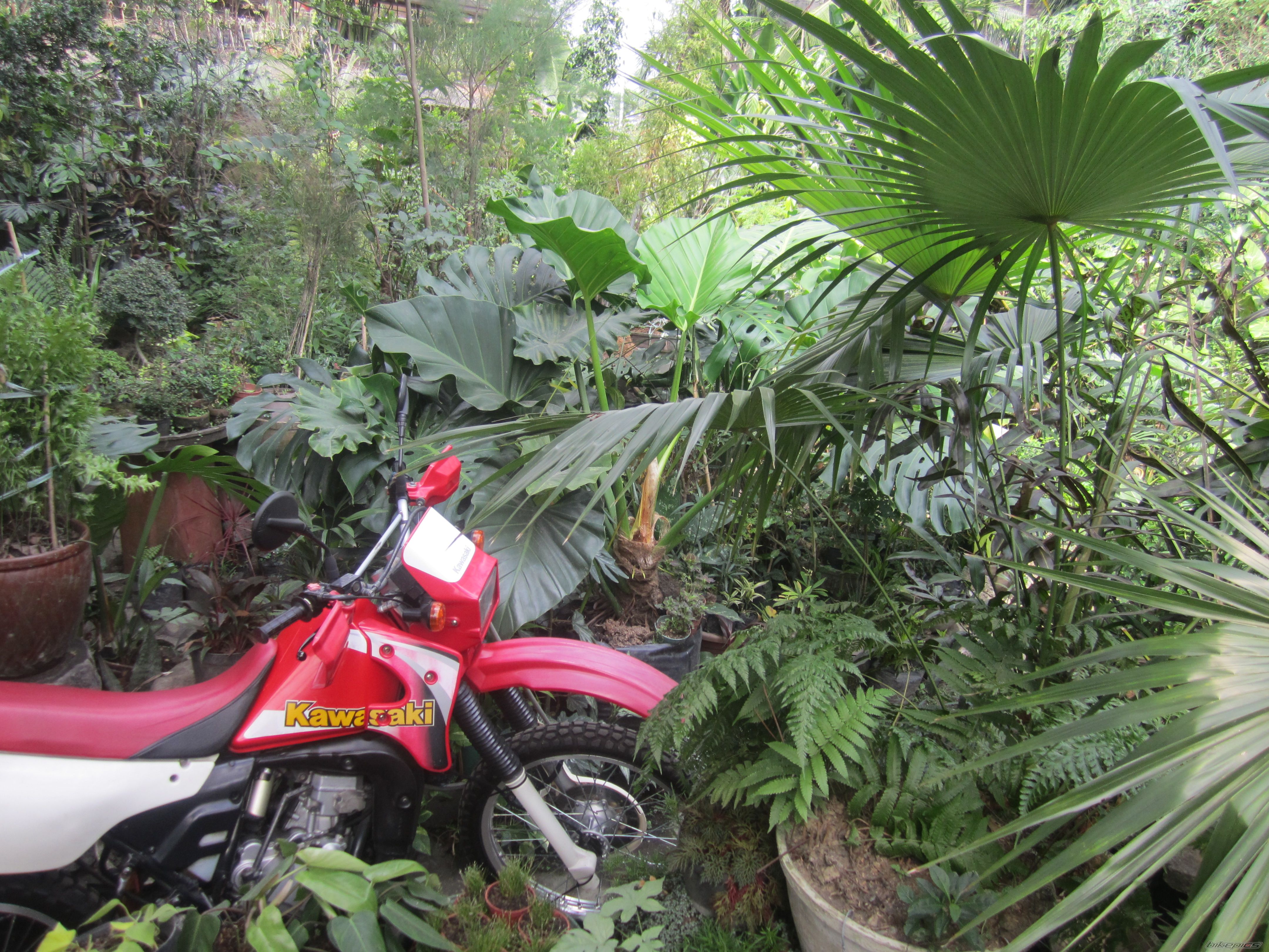 Photo 2721827