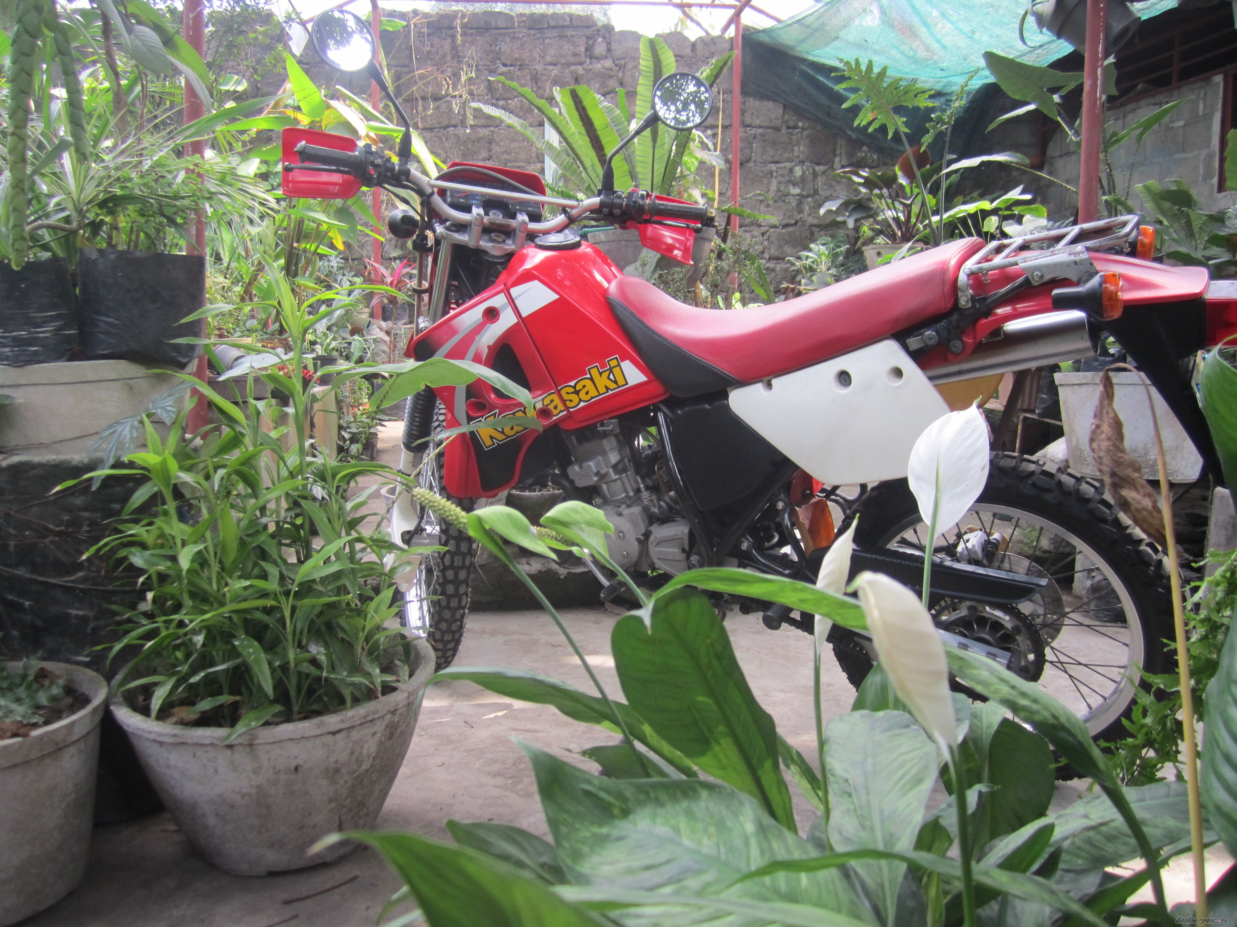 Photo 2721828