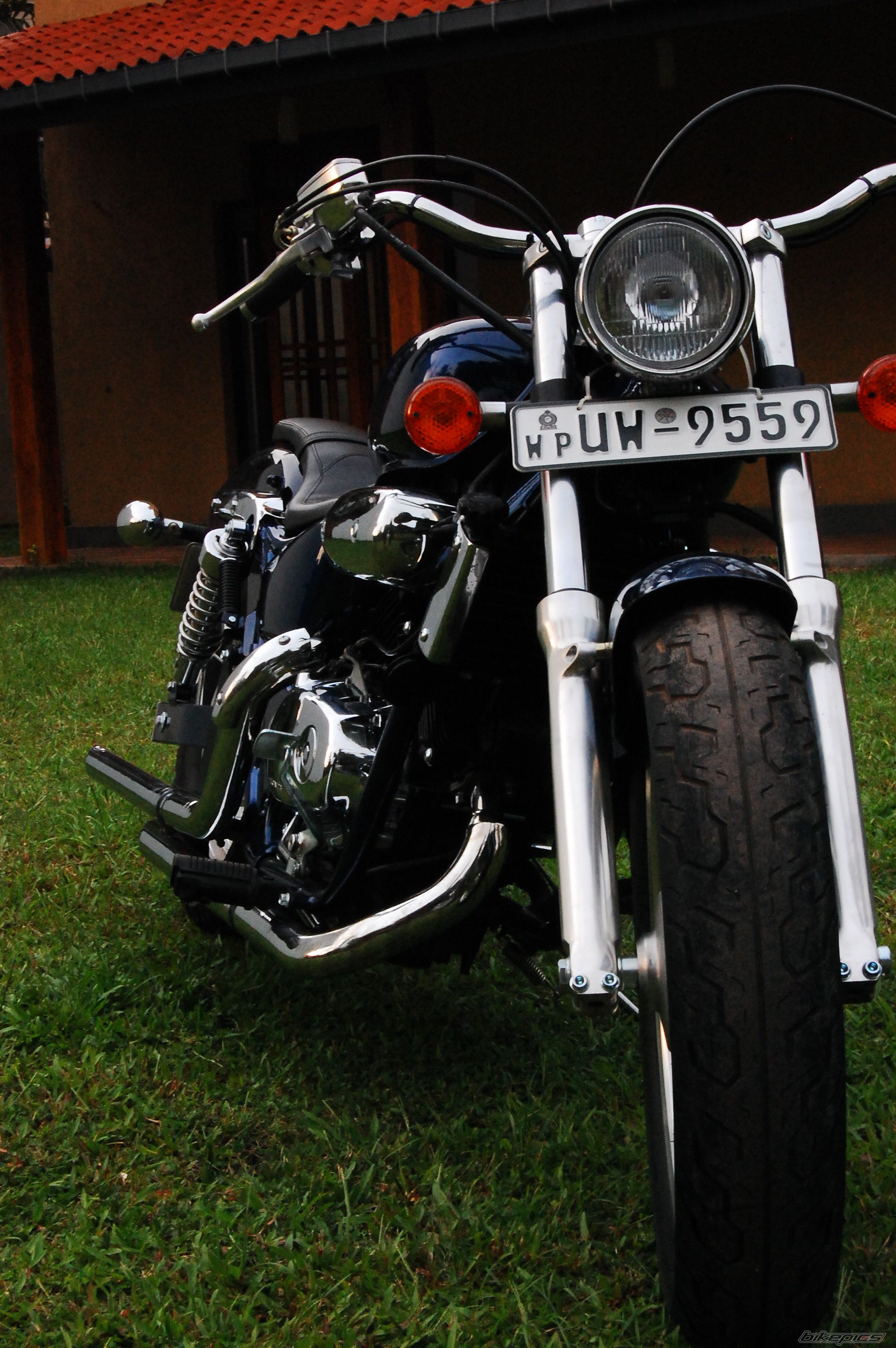 Photo 2721974