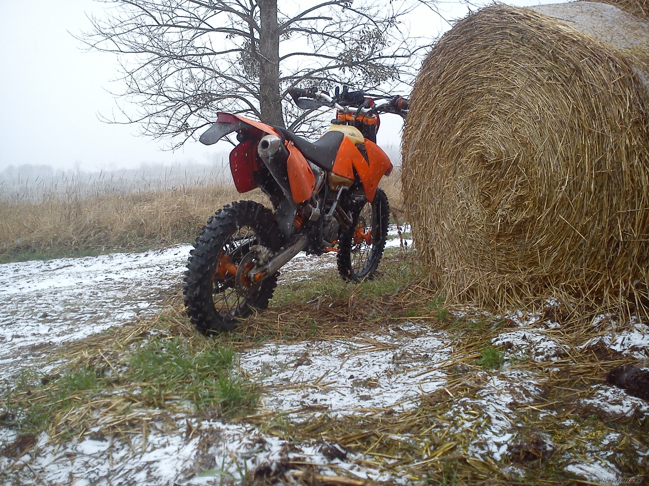 Photo 2722105