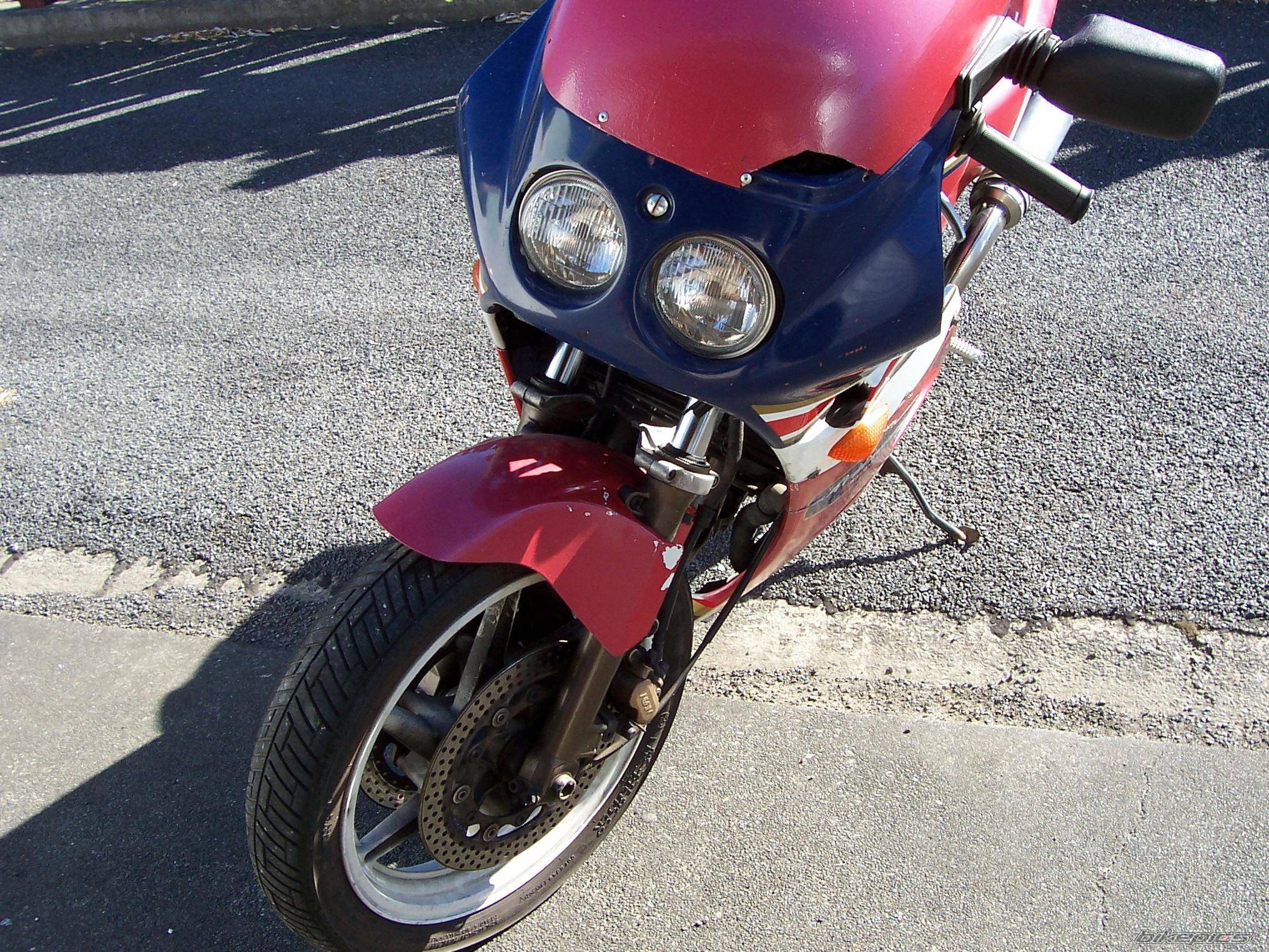 Photo 272217