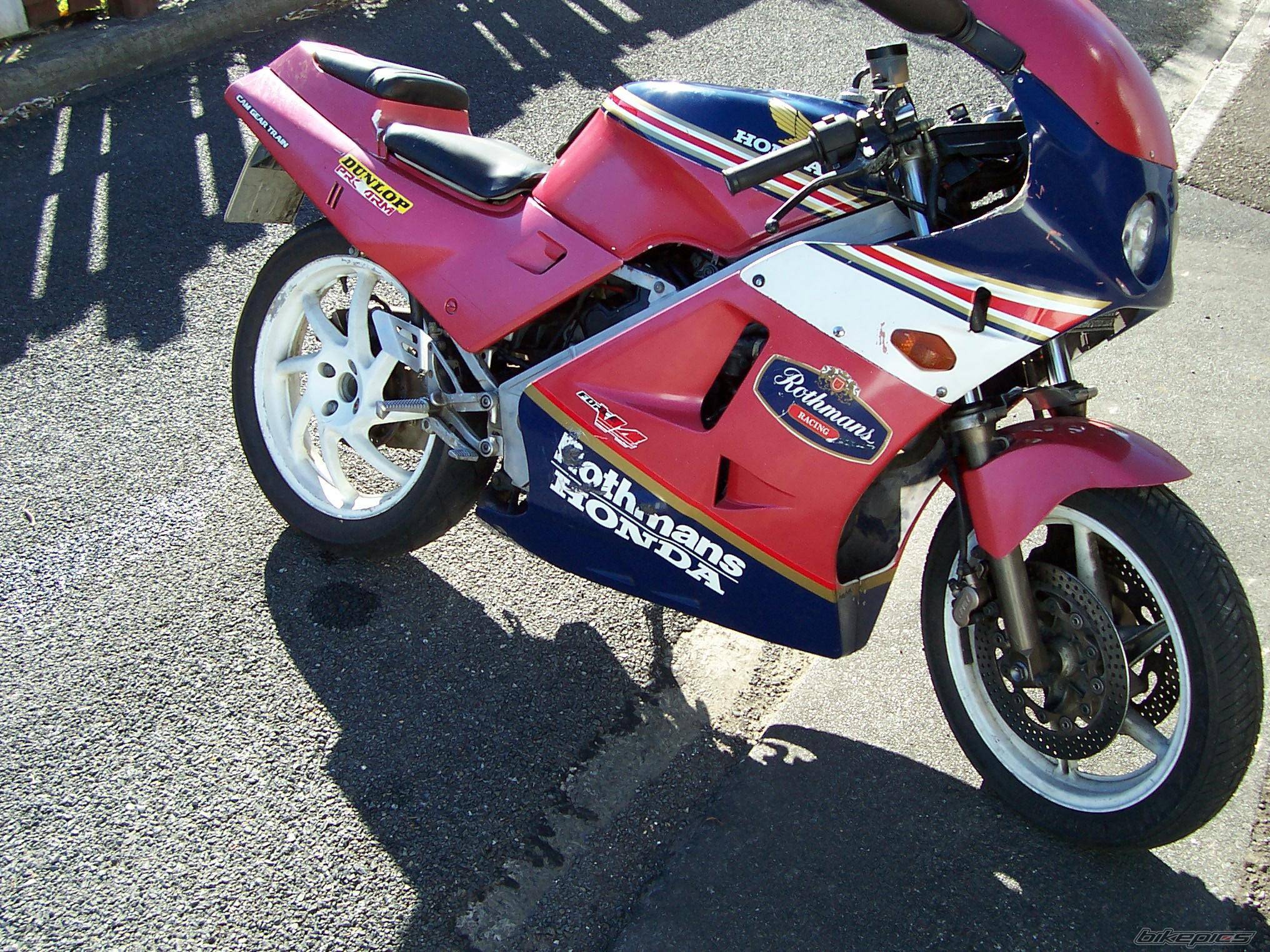 Photo 272220
