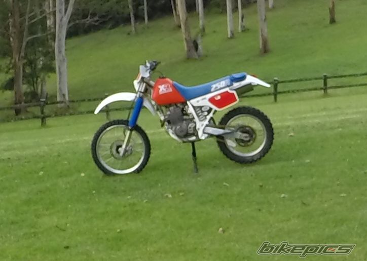 Bike Photo 2722253
