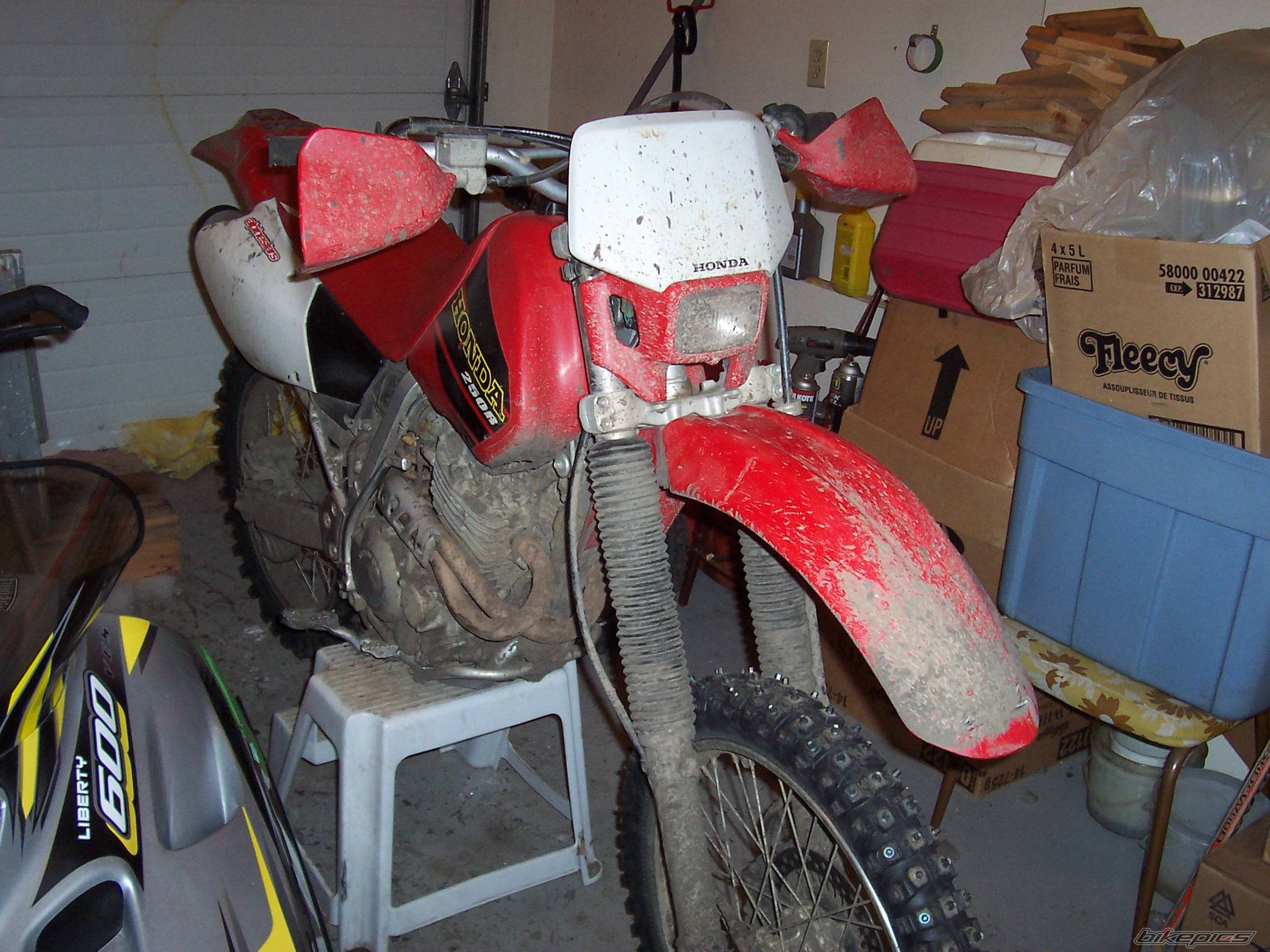 Photo 272229