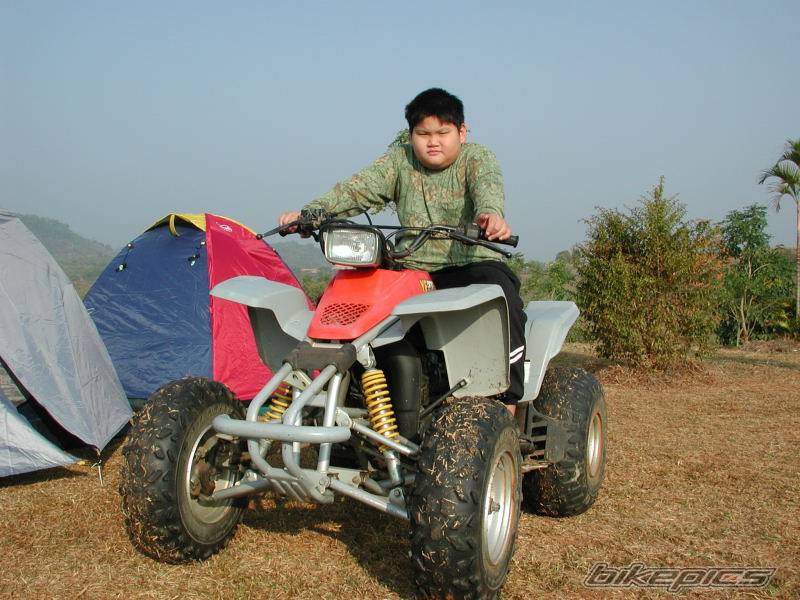 Photo 272261
