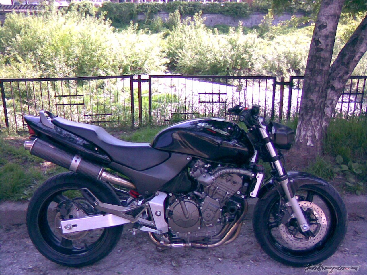 Photo 2722693