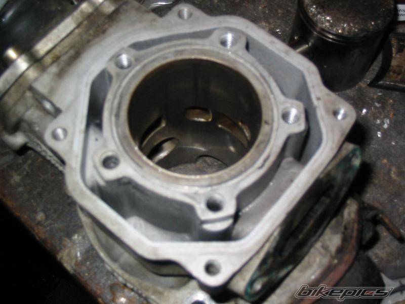 Photo 272287