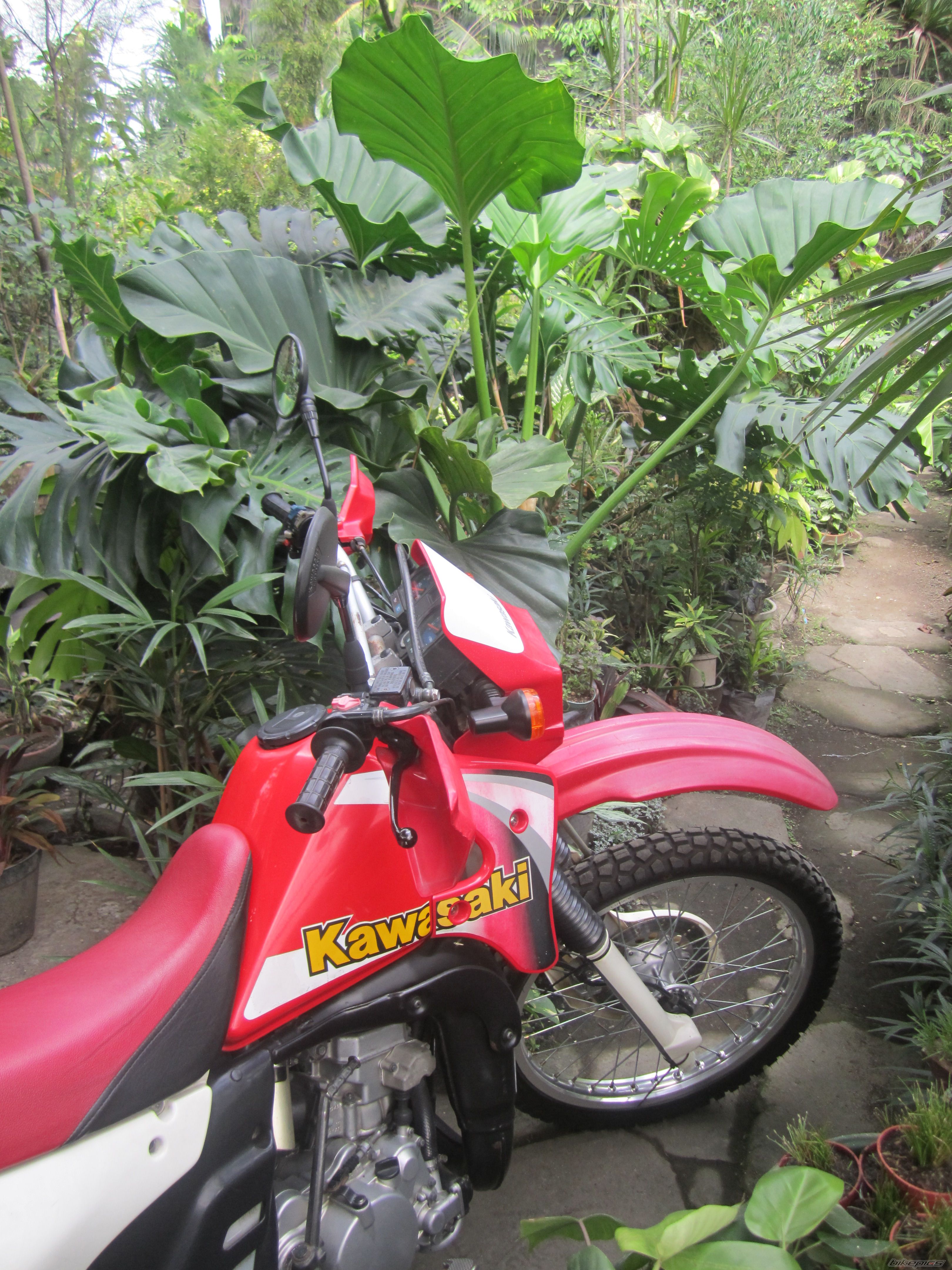 Photo 2722908