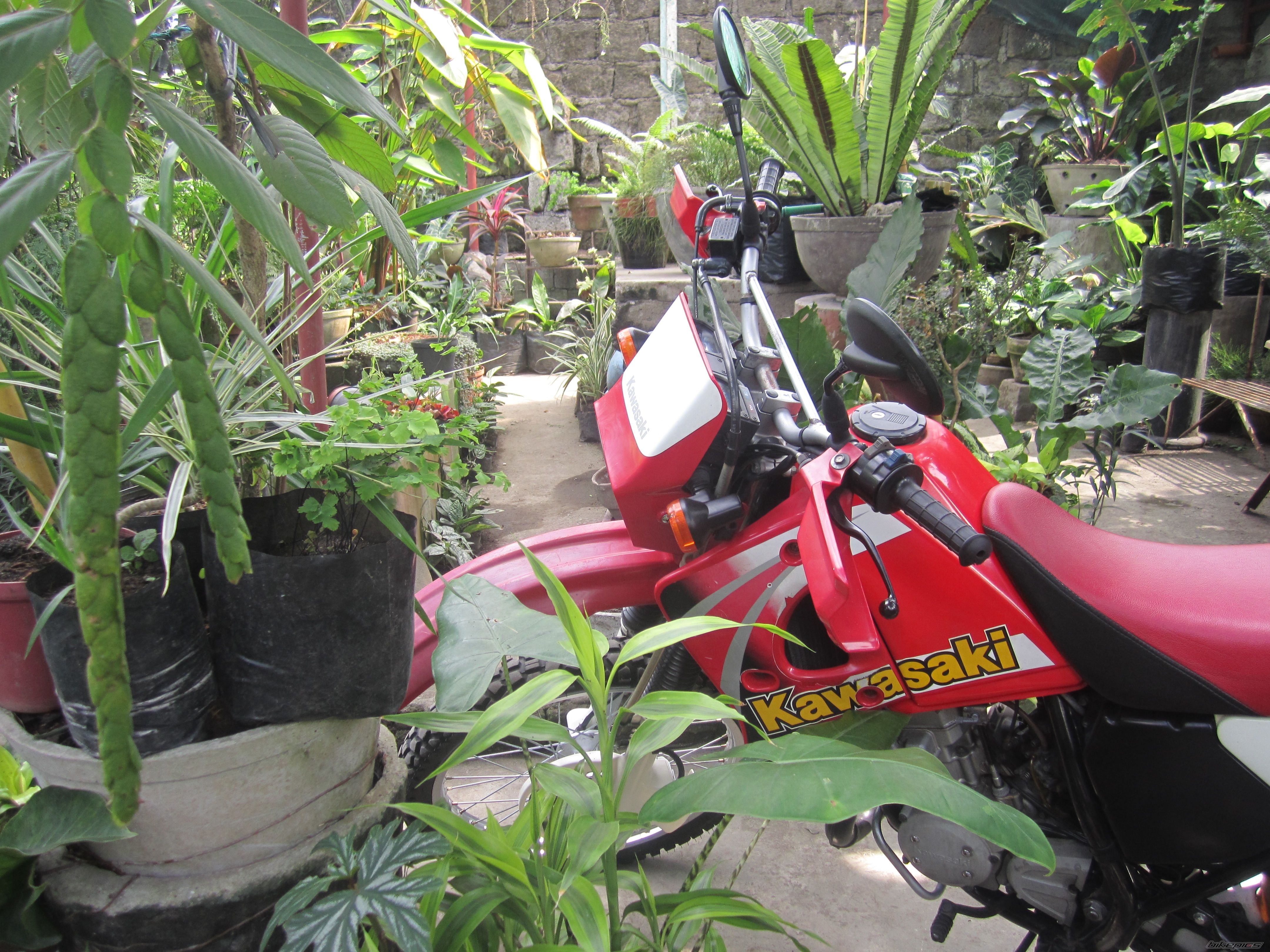 Photo 2722909