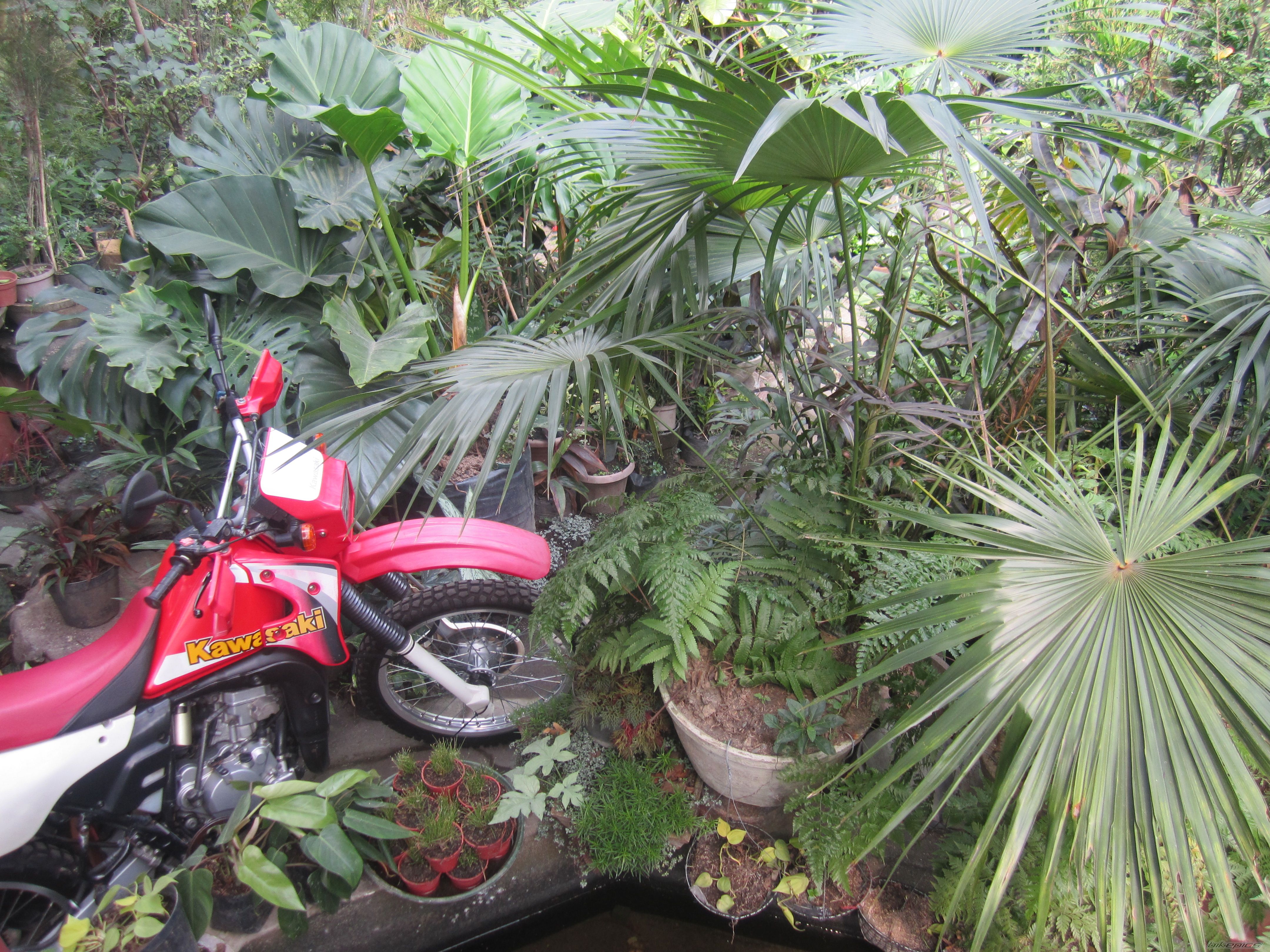 Photo 2722911