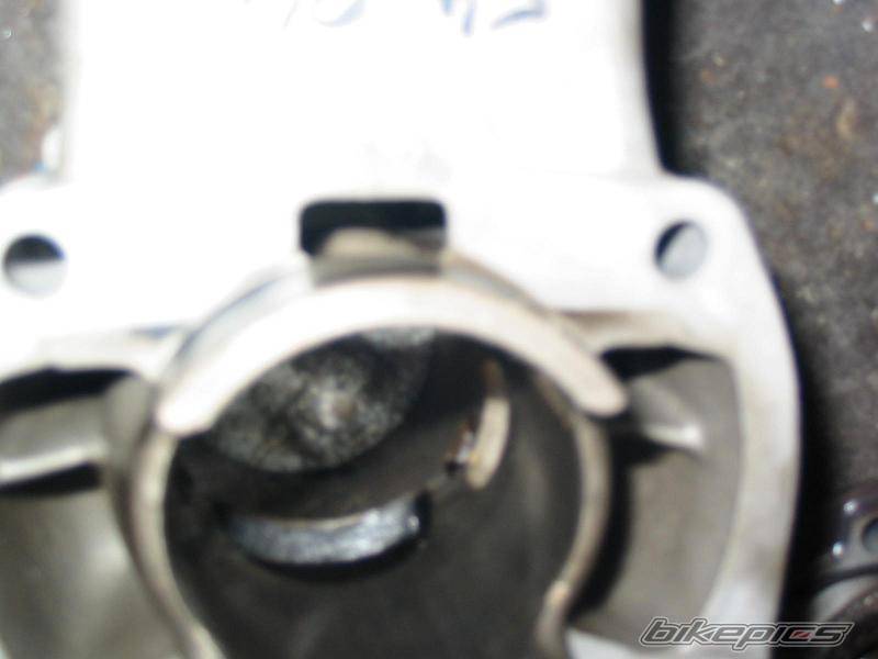 Photo 272292