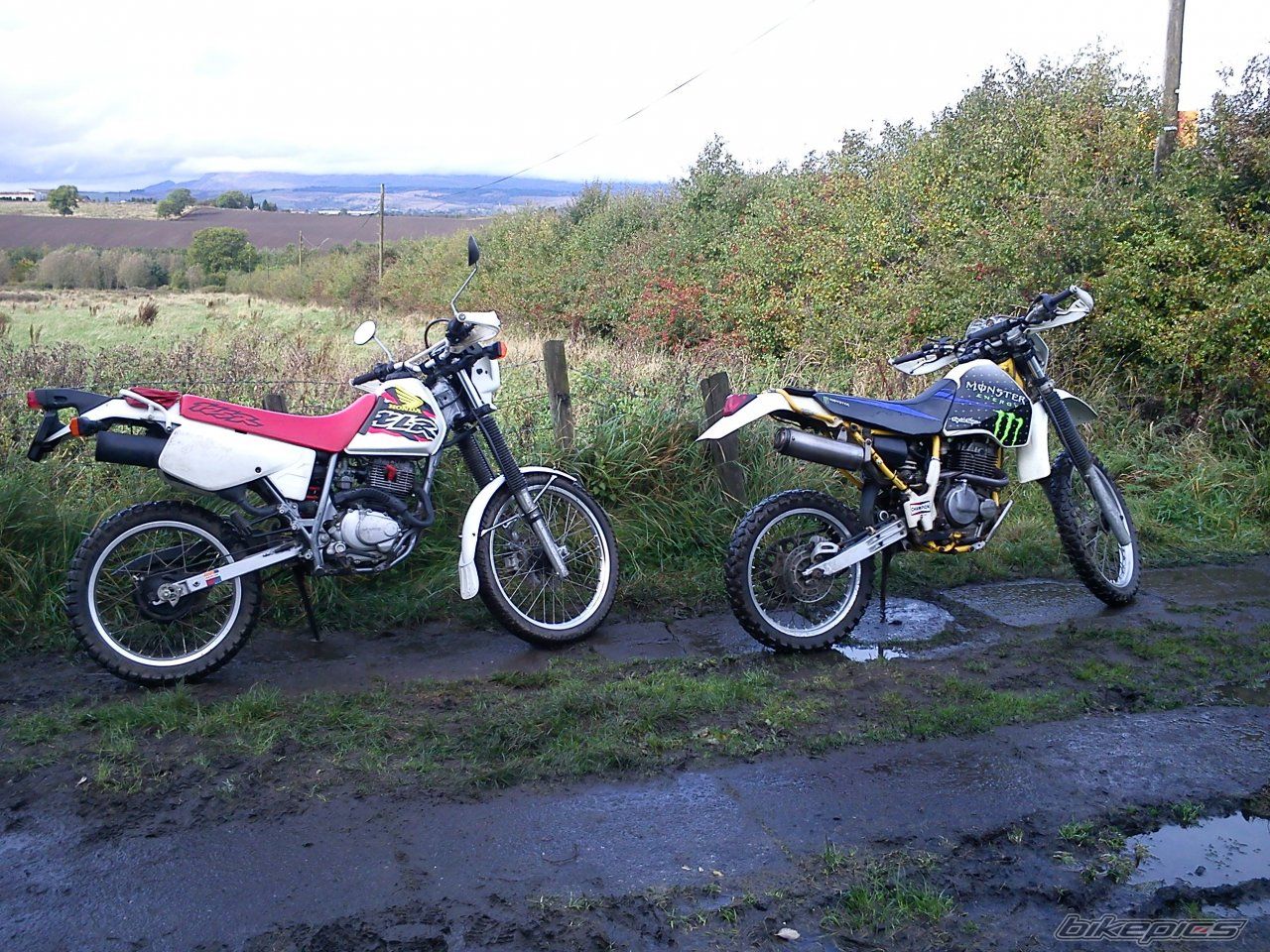 Photo 2722940