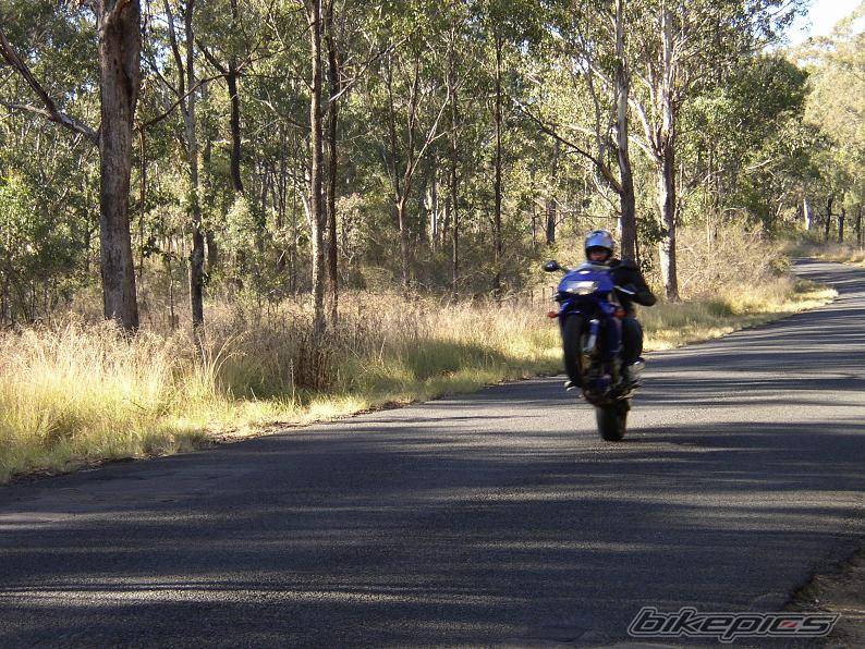 Bike Photo 272299