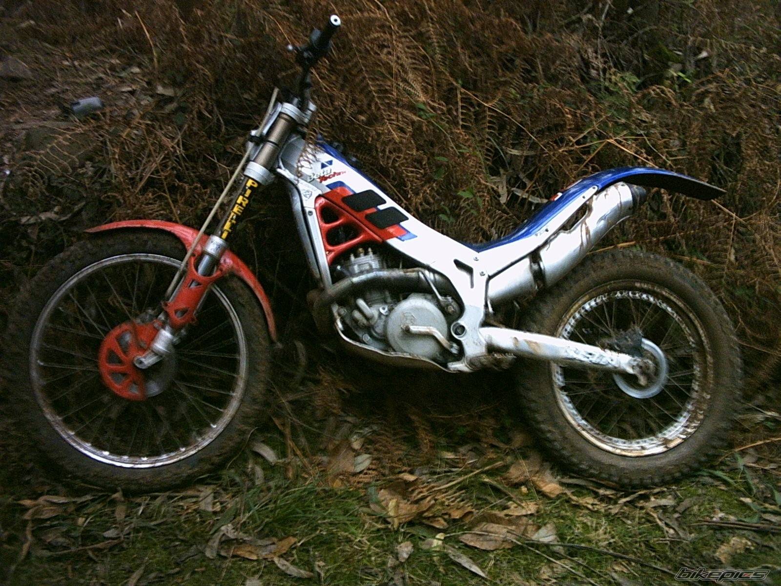 Bike Photo 272312