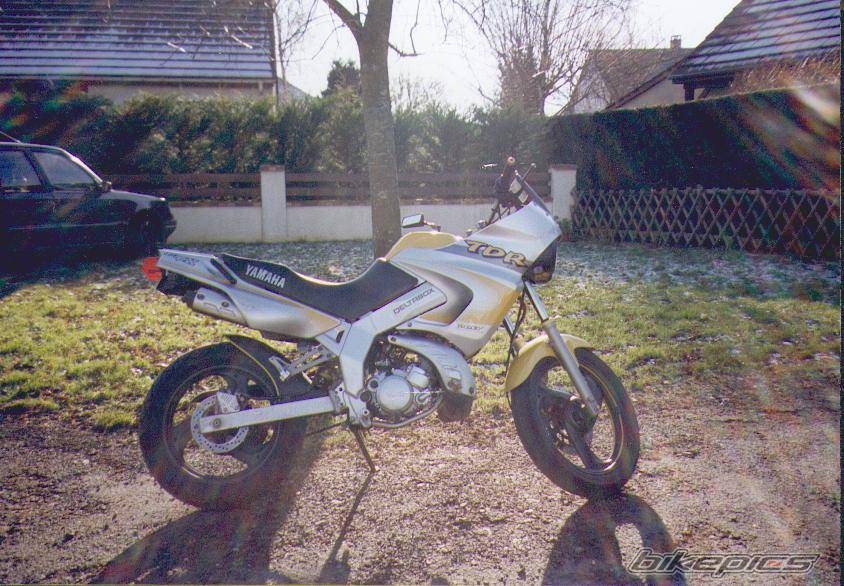 Photo 272323