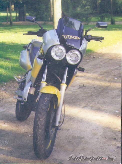 Photo 272324