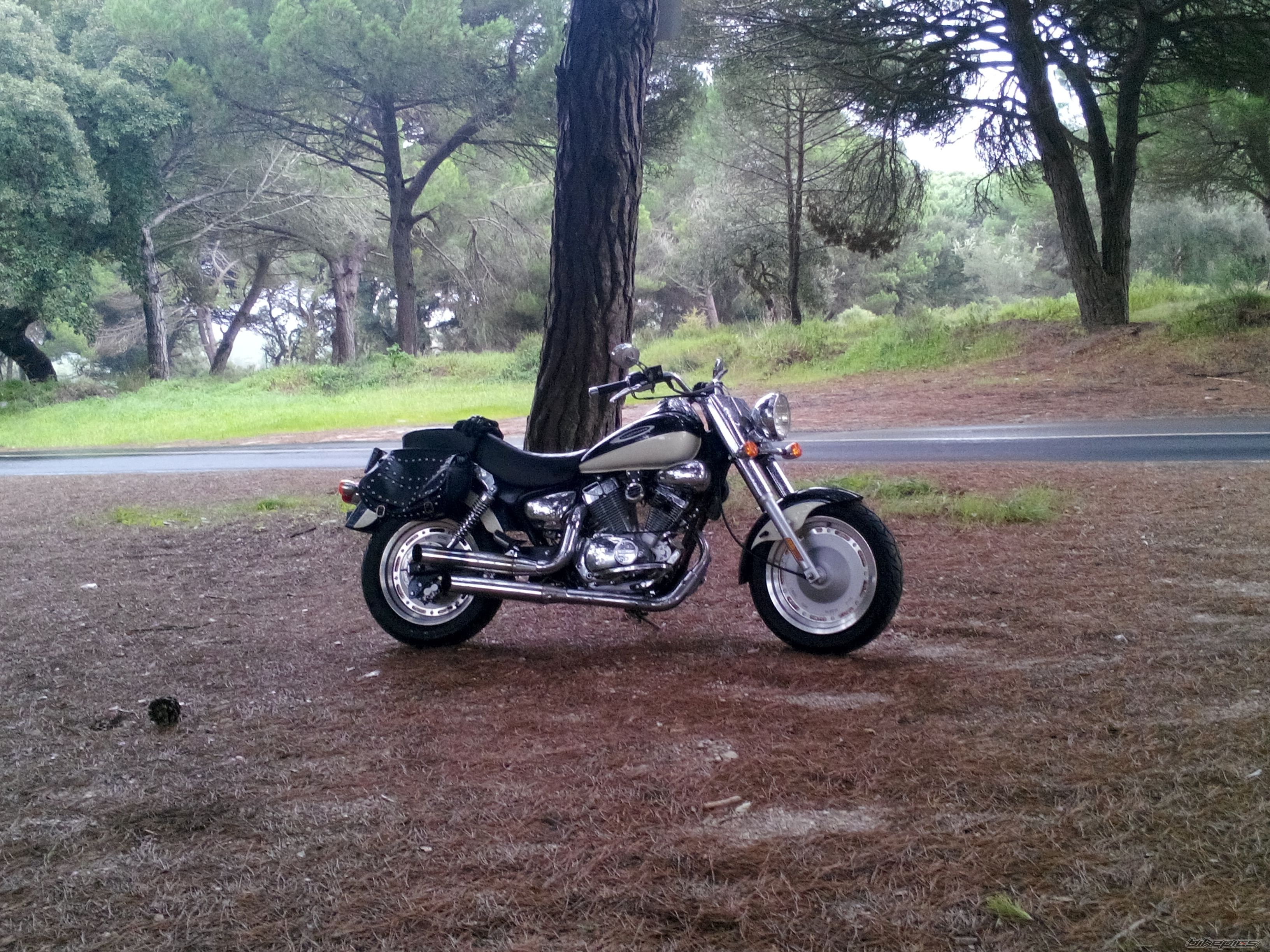 Photo 2723259