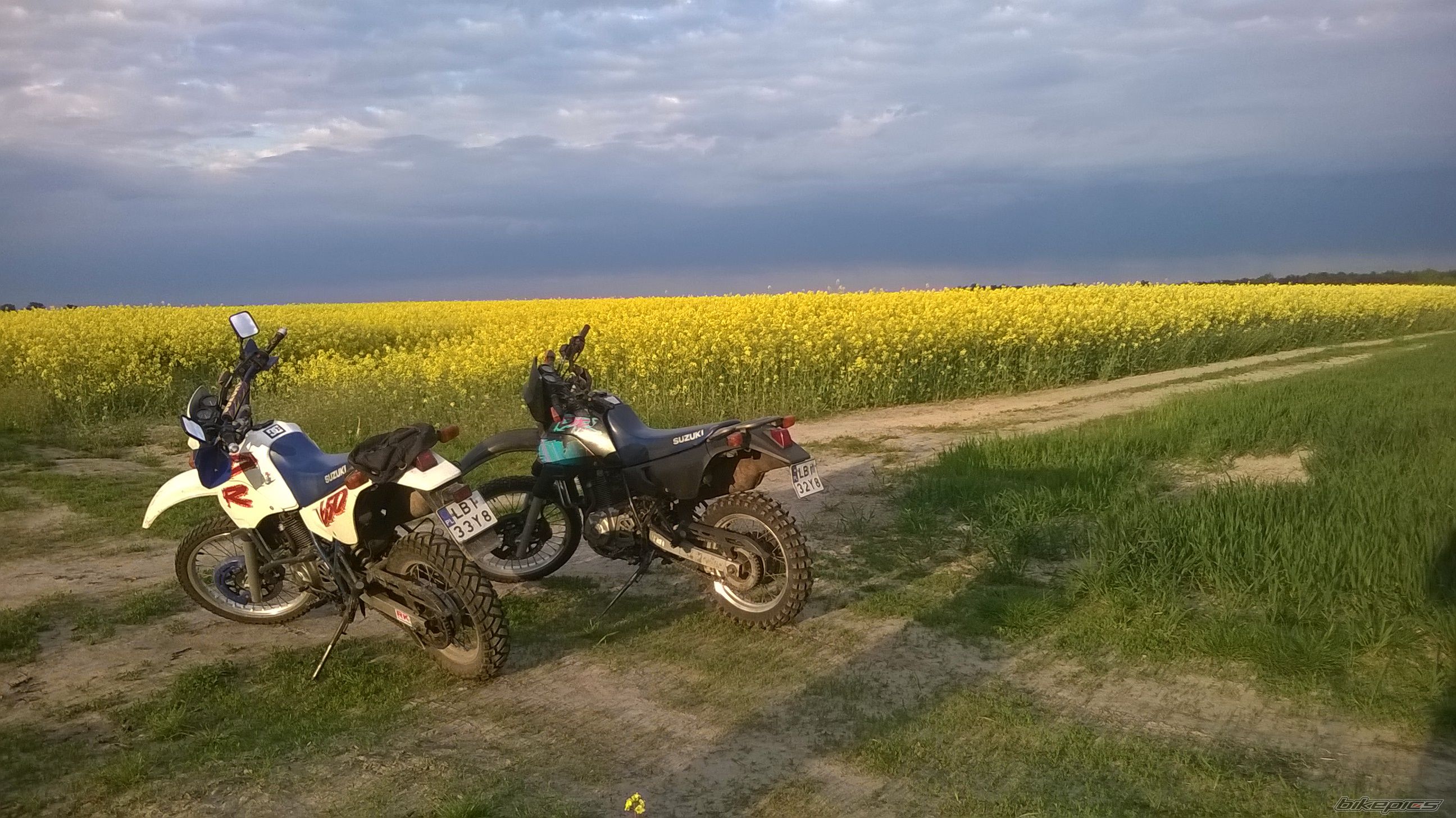 Photo 2723278