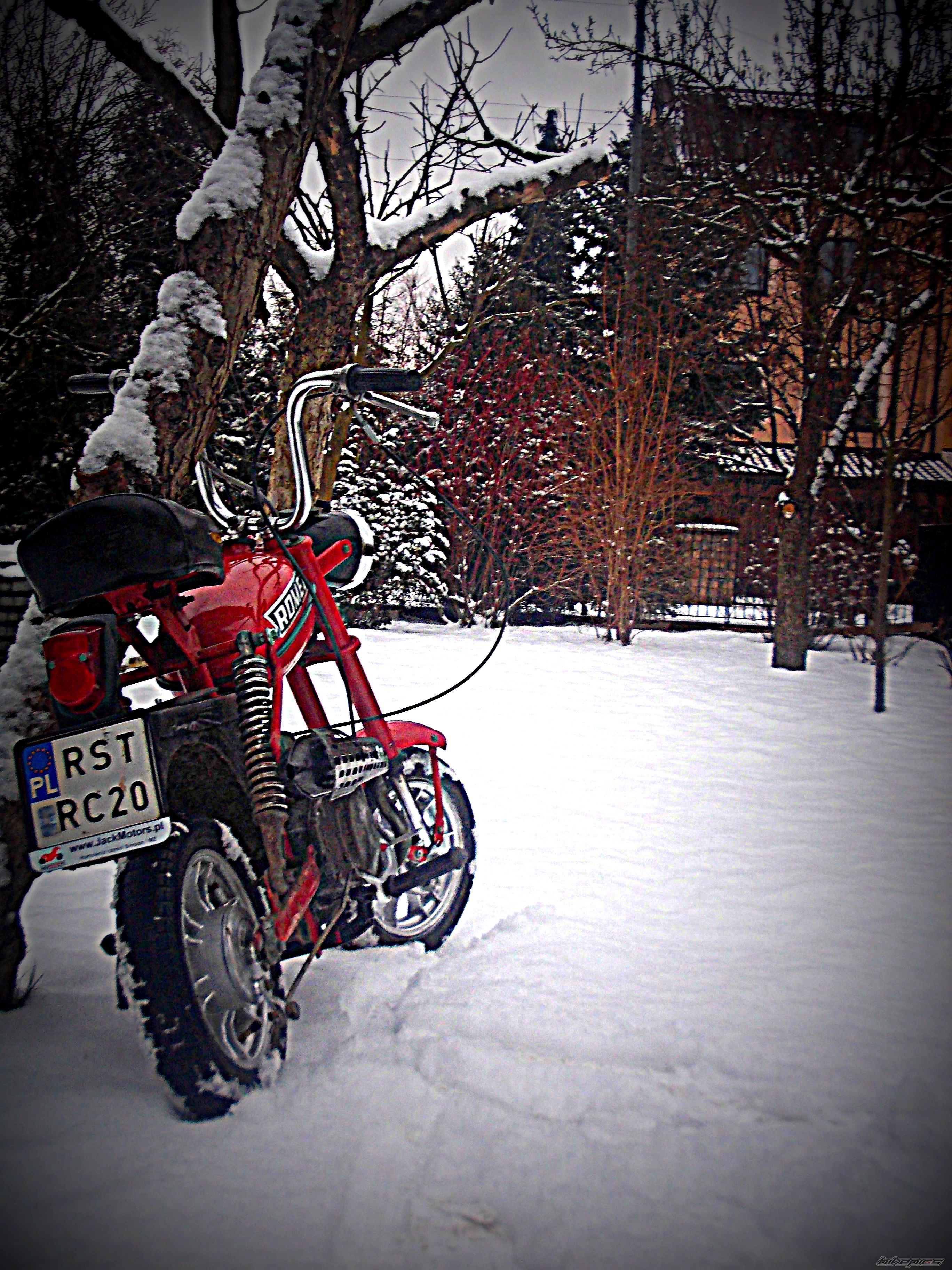 Photo 2723282