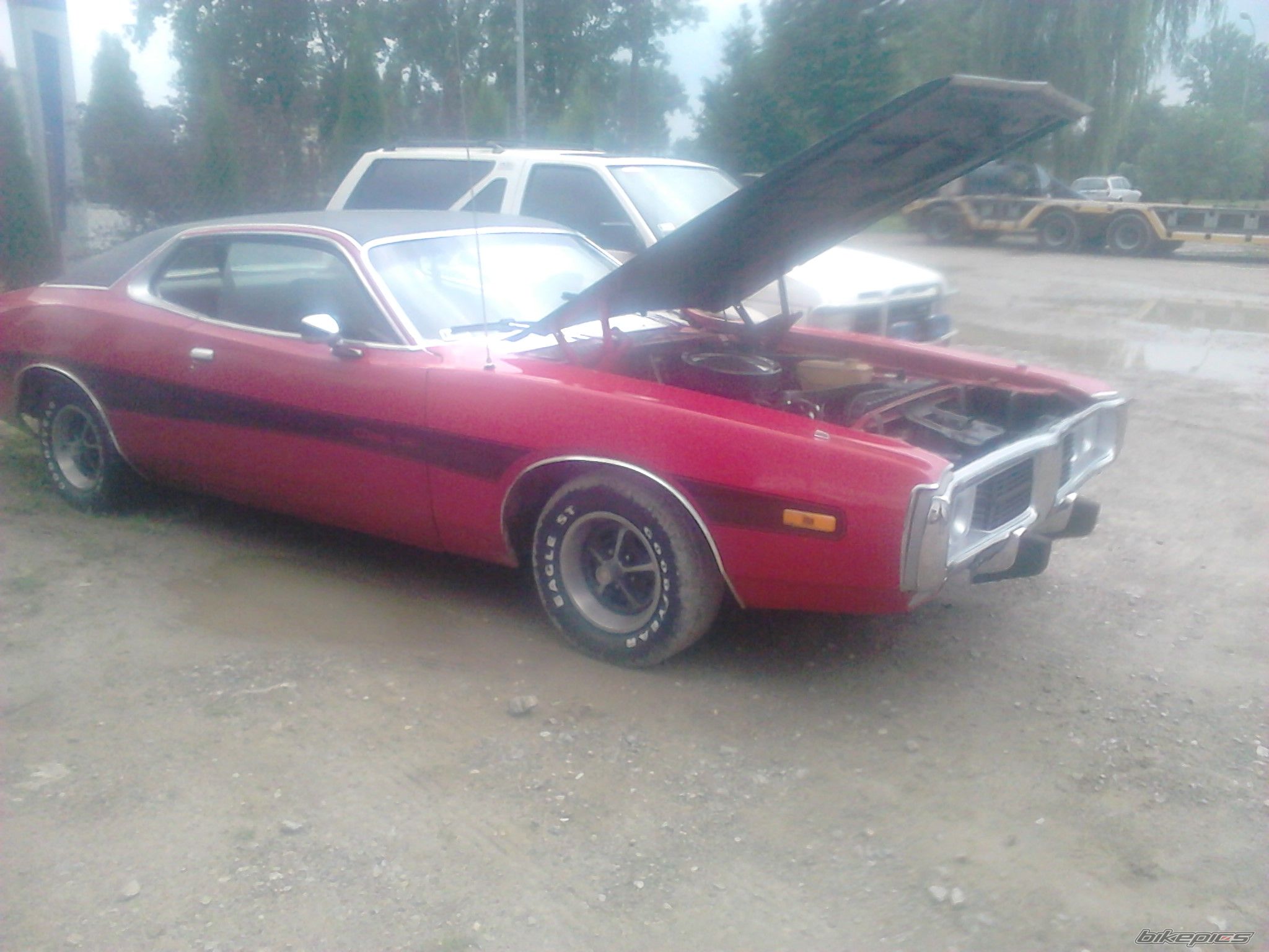 Photo 2723294