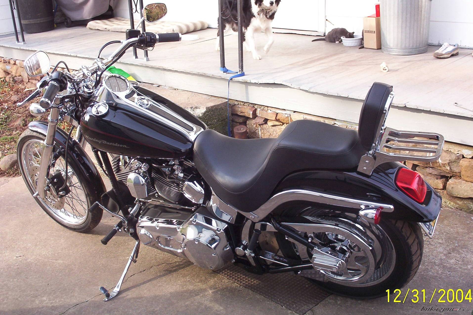 Photo 272332