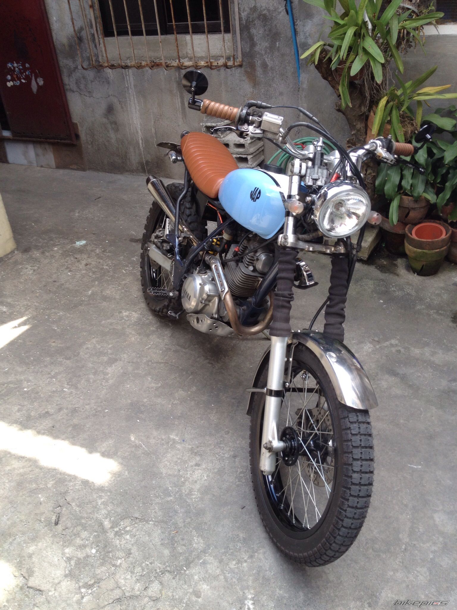 Photo 2723382