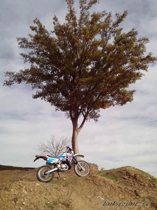 Photo 2723387