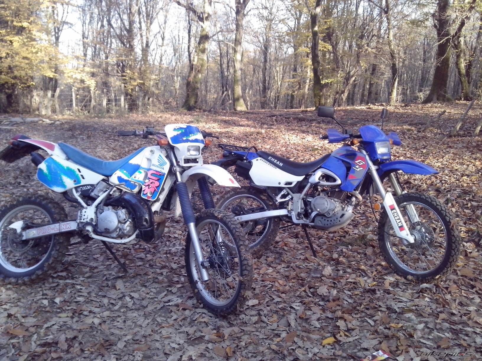 Photo 2723391
