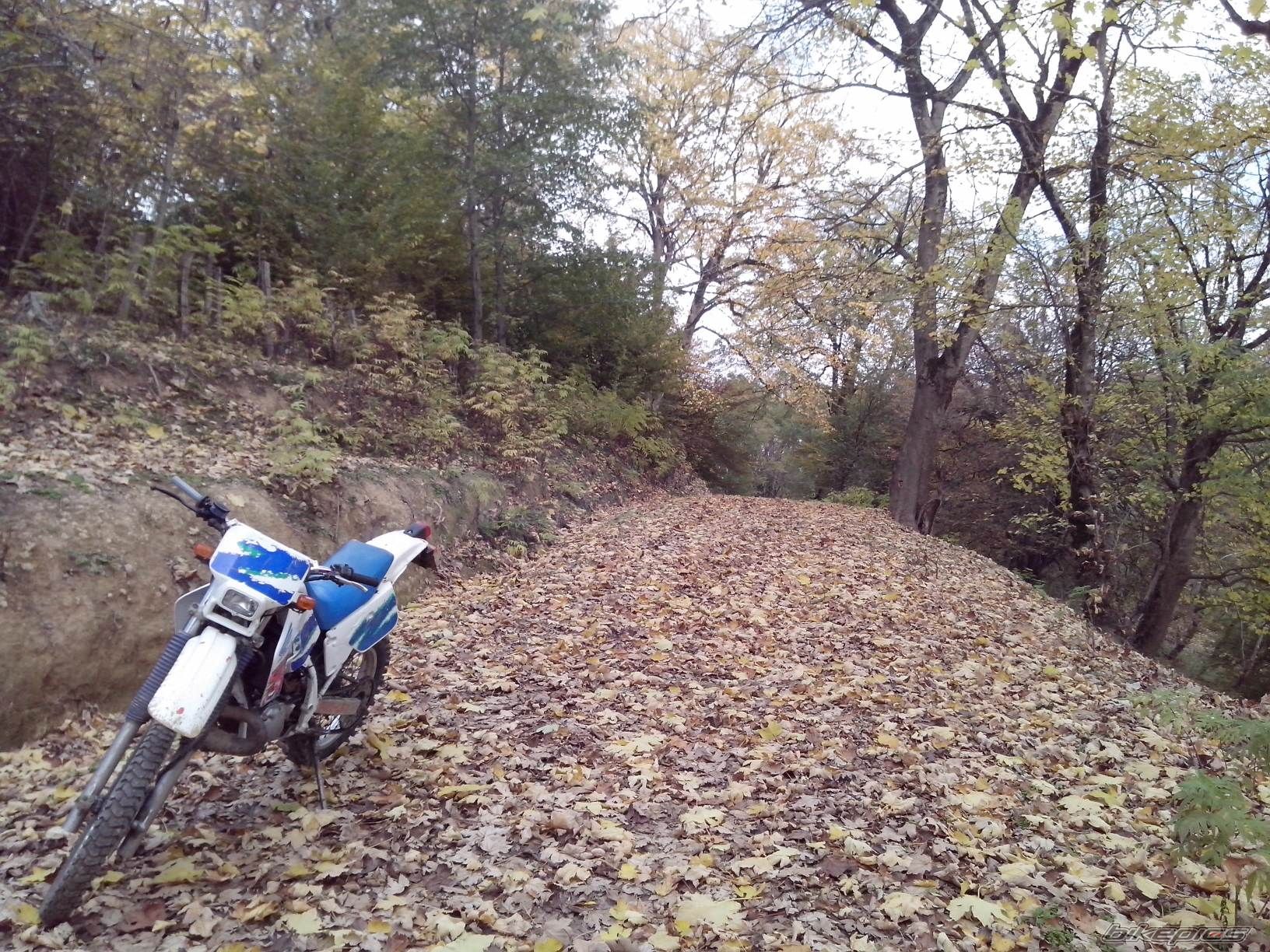 Photo 2723395
