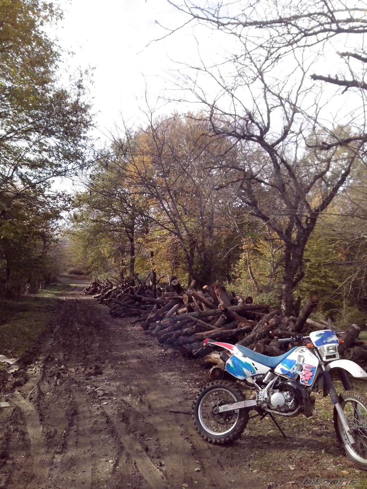 Photo 2723396