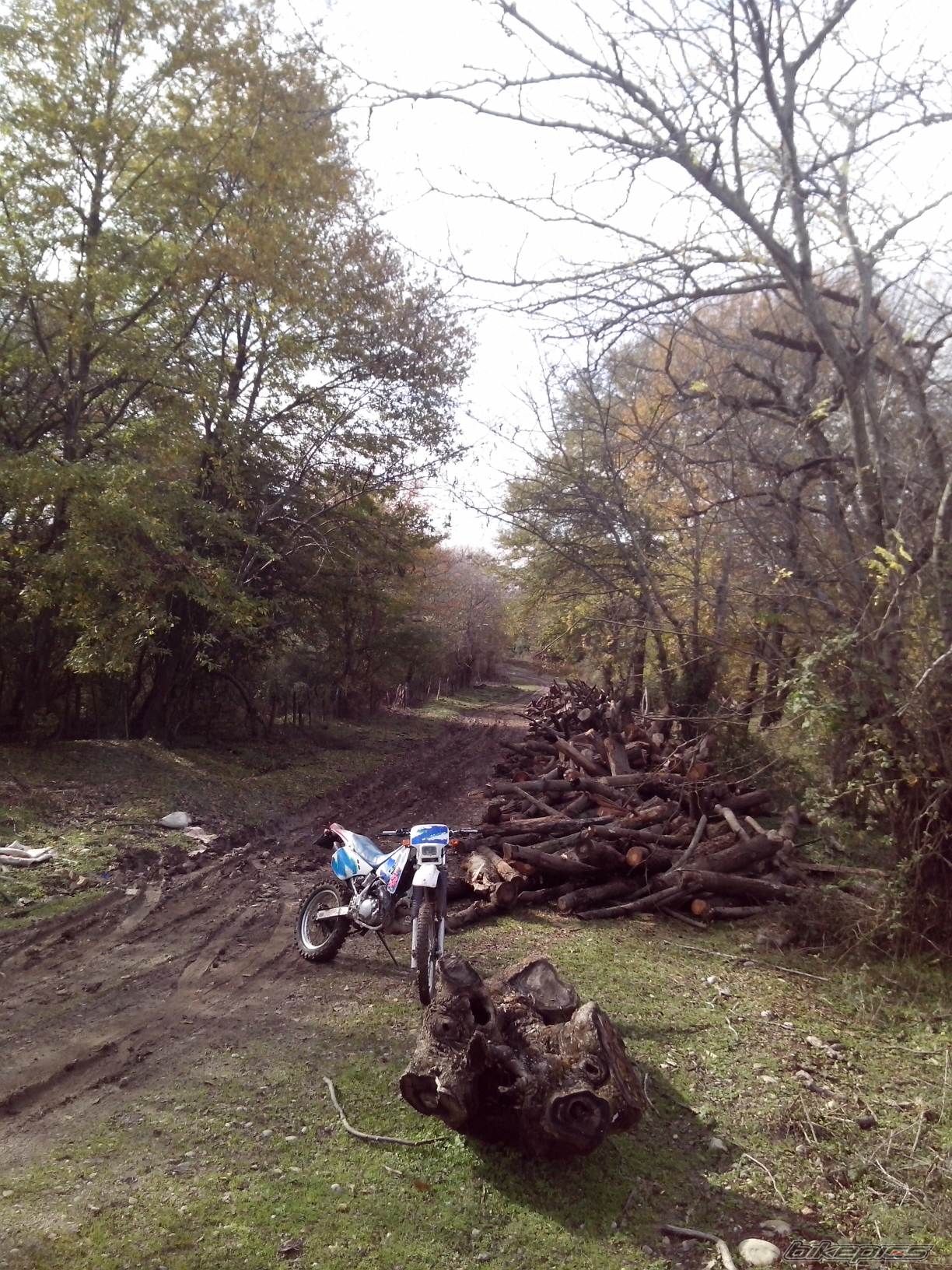 Photo 2723397