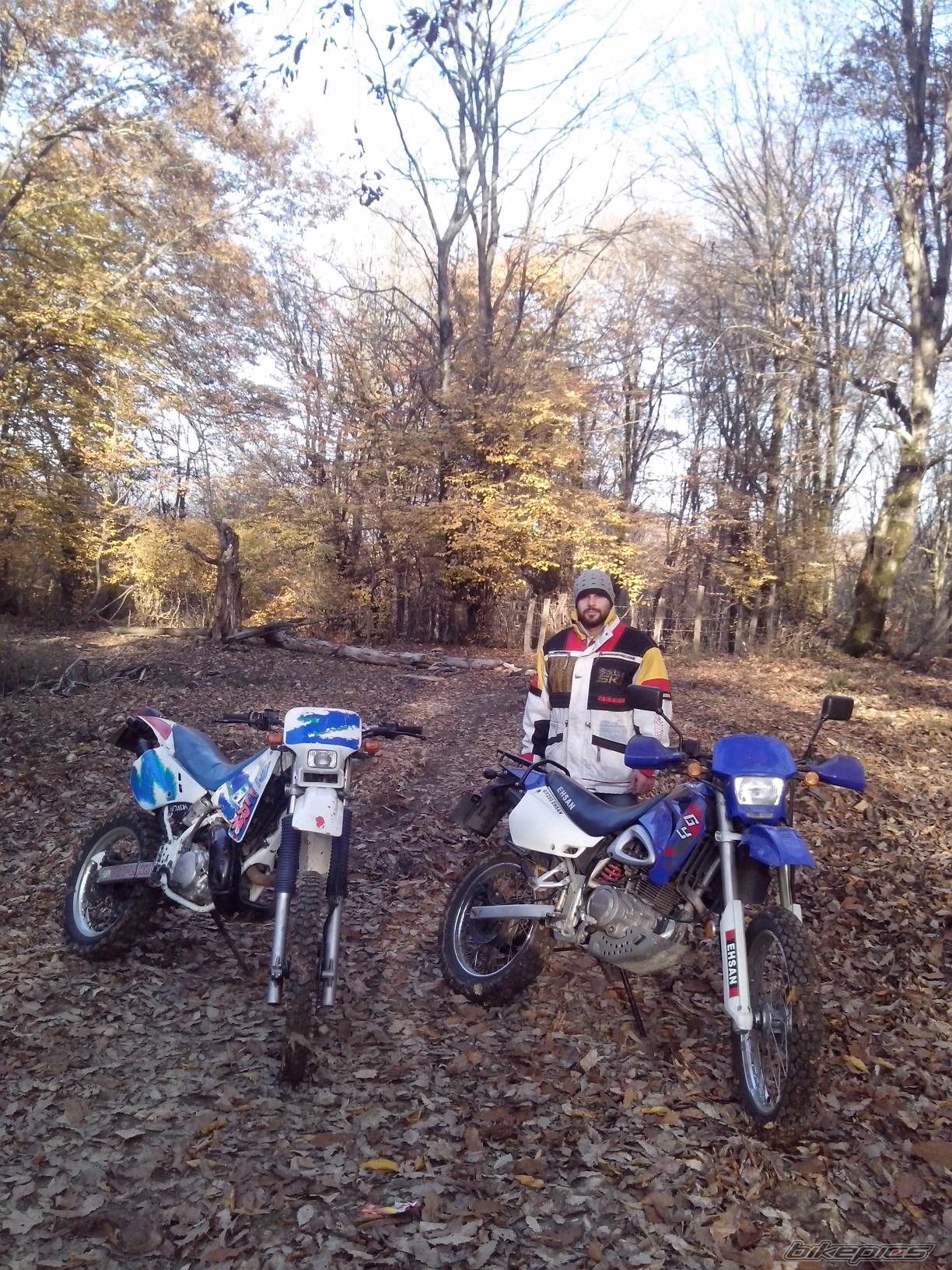 Photo 2723398