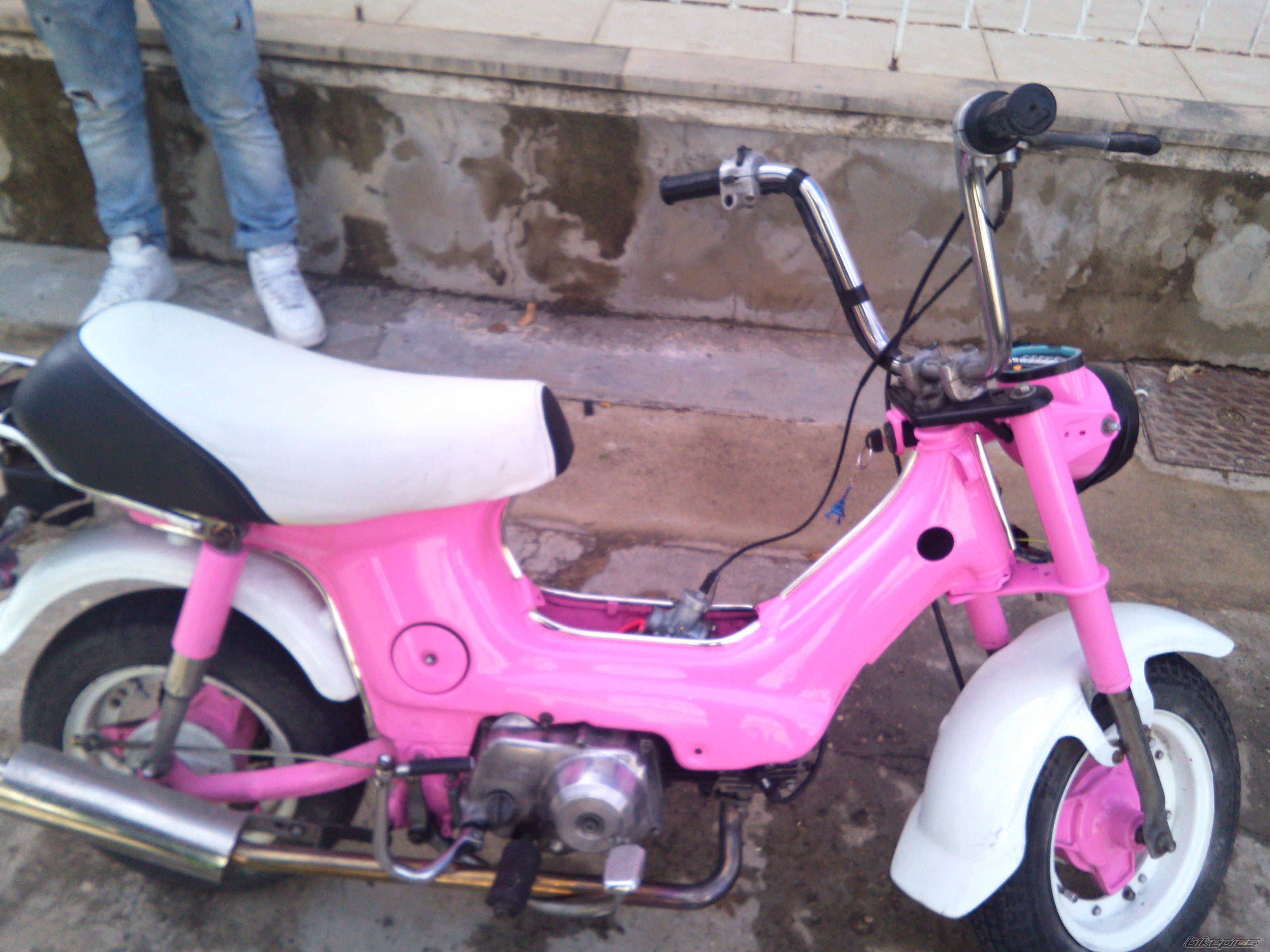 Photo 2723514