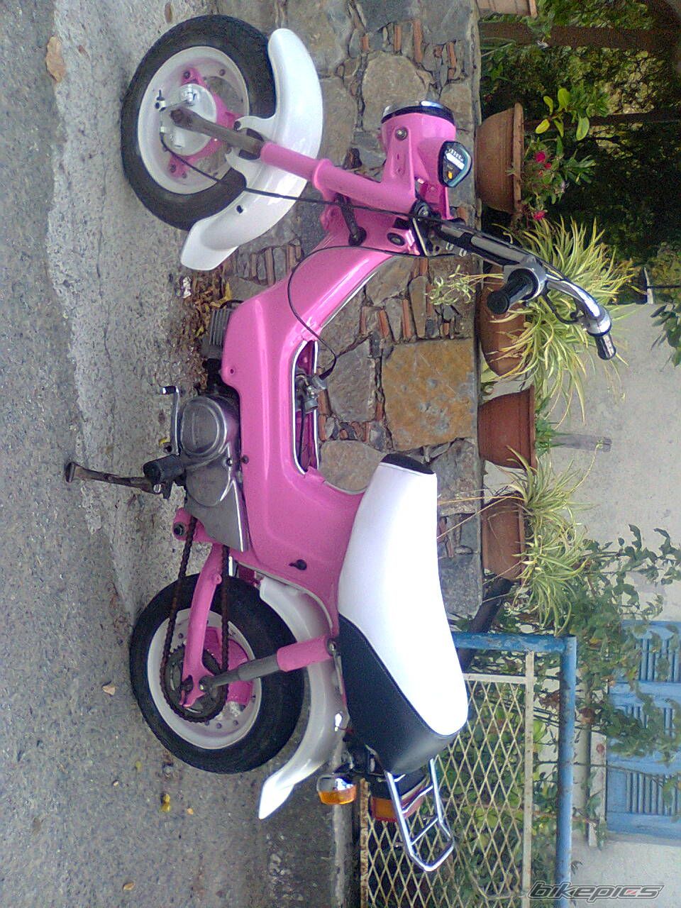 Photo 2723516