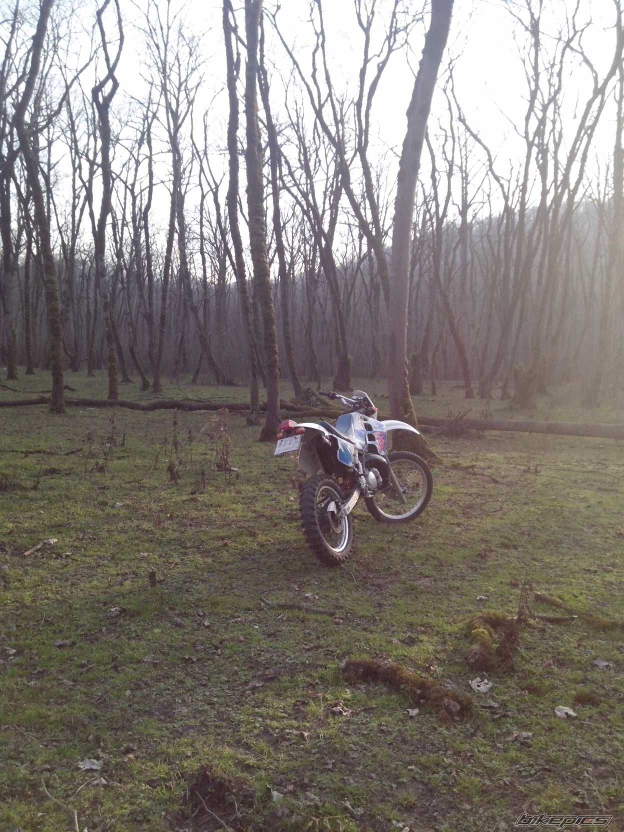 Photo 2723587