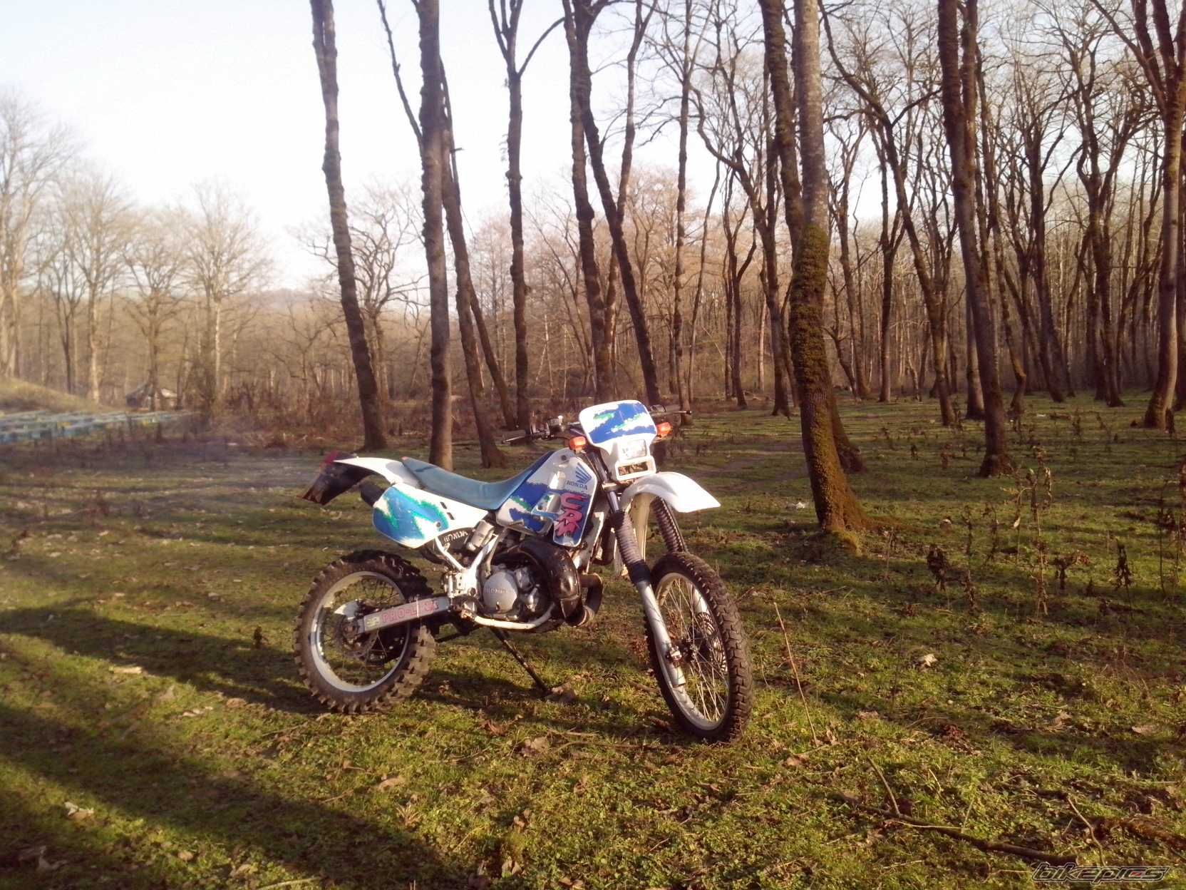 Photo 2723588
