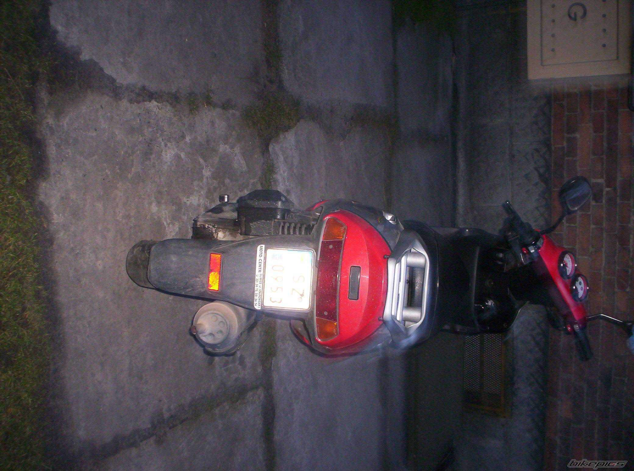 Photo 272373